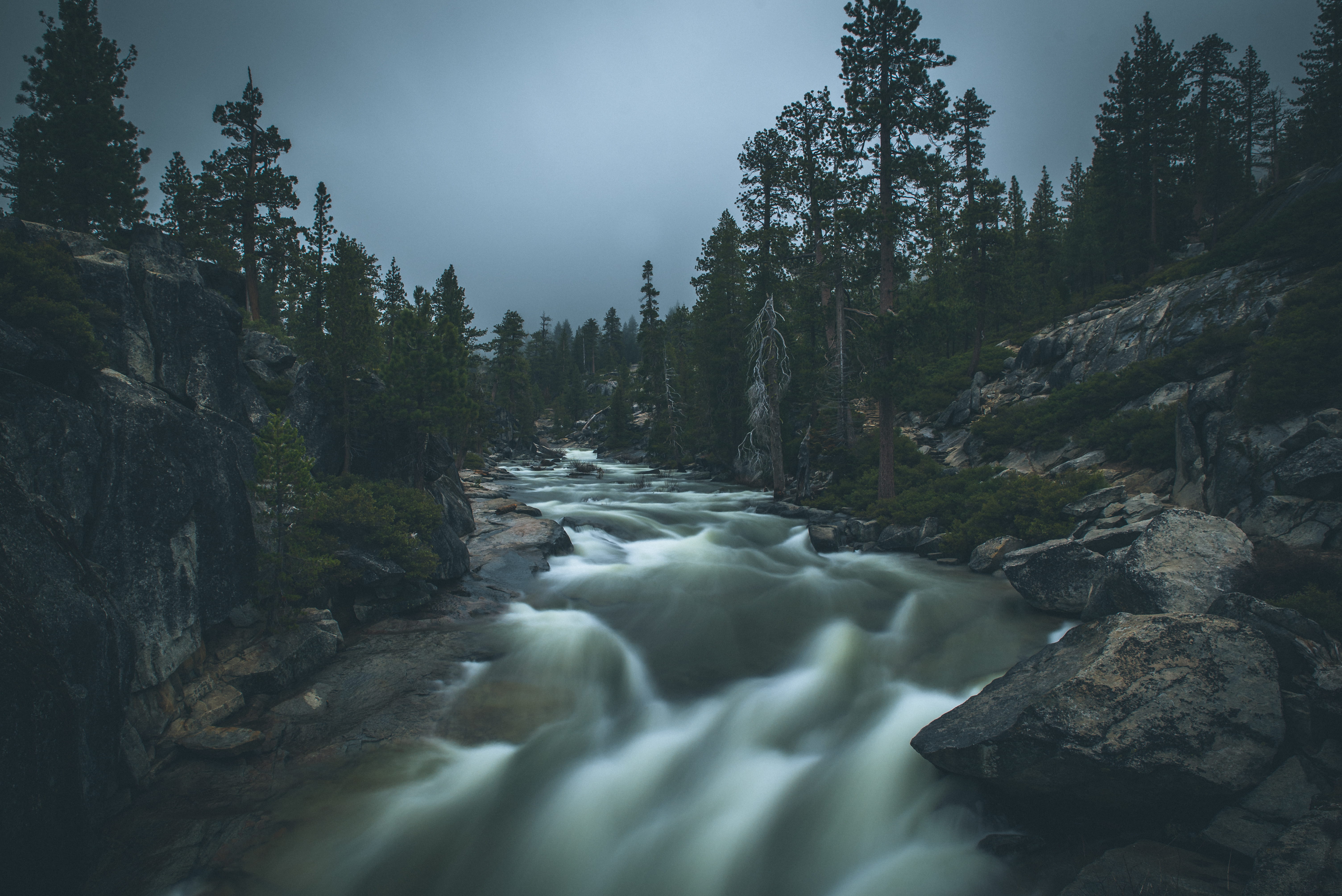 yosemite valley, grey, tree, photography, motion, time, water, stream - flowing water, land, no people, power in nature, stream, nature, creek, united states, HD Wallpaper