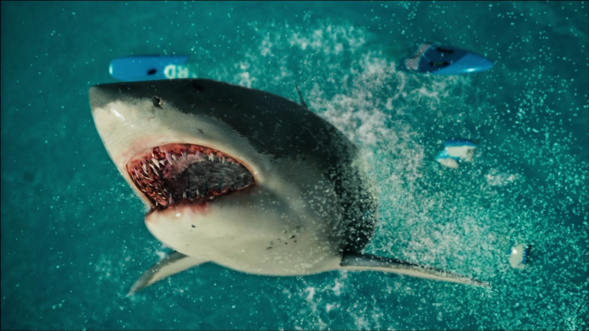outdoors, no people, animal teeth, animal mouth, sea, animal themes, marine, fish, animal, bait, mouth open, 1080P, one animal, vertebrate, nature, animals in the wild, HD Wallpaper