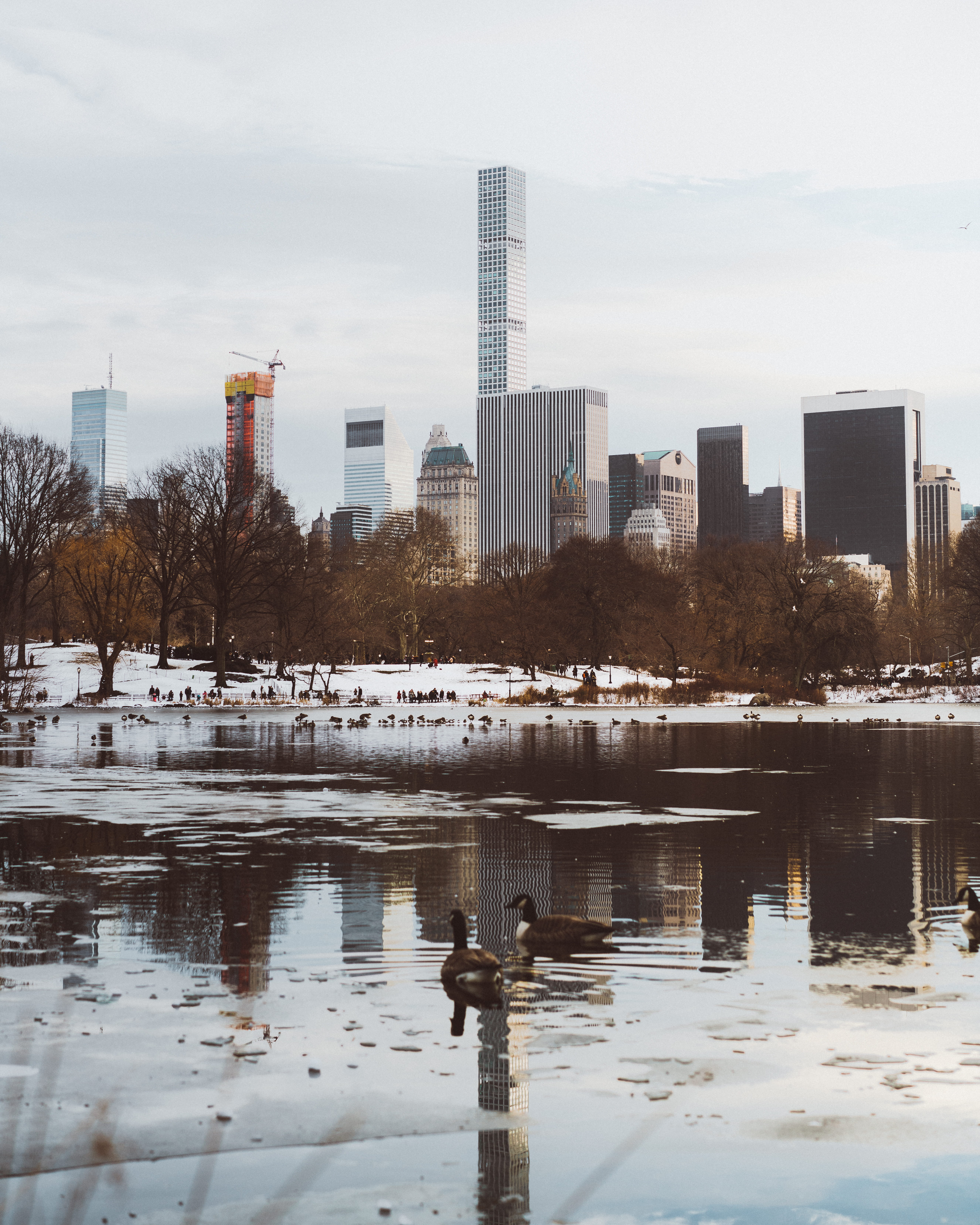 cityscape, depth, water, central park, dark, tones, contrast, nature, waterfront, autumn, architecture, buildings, day, reflection, horizon, built structure, Phone HD Wallpaper