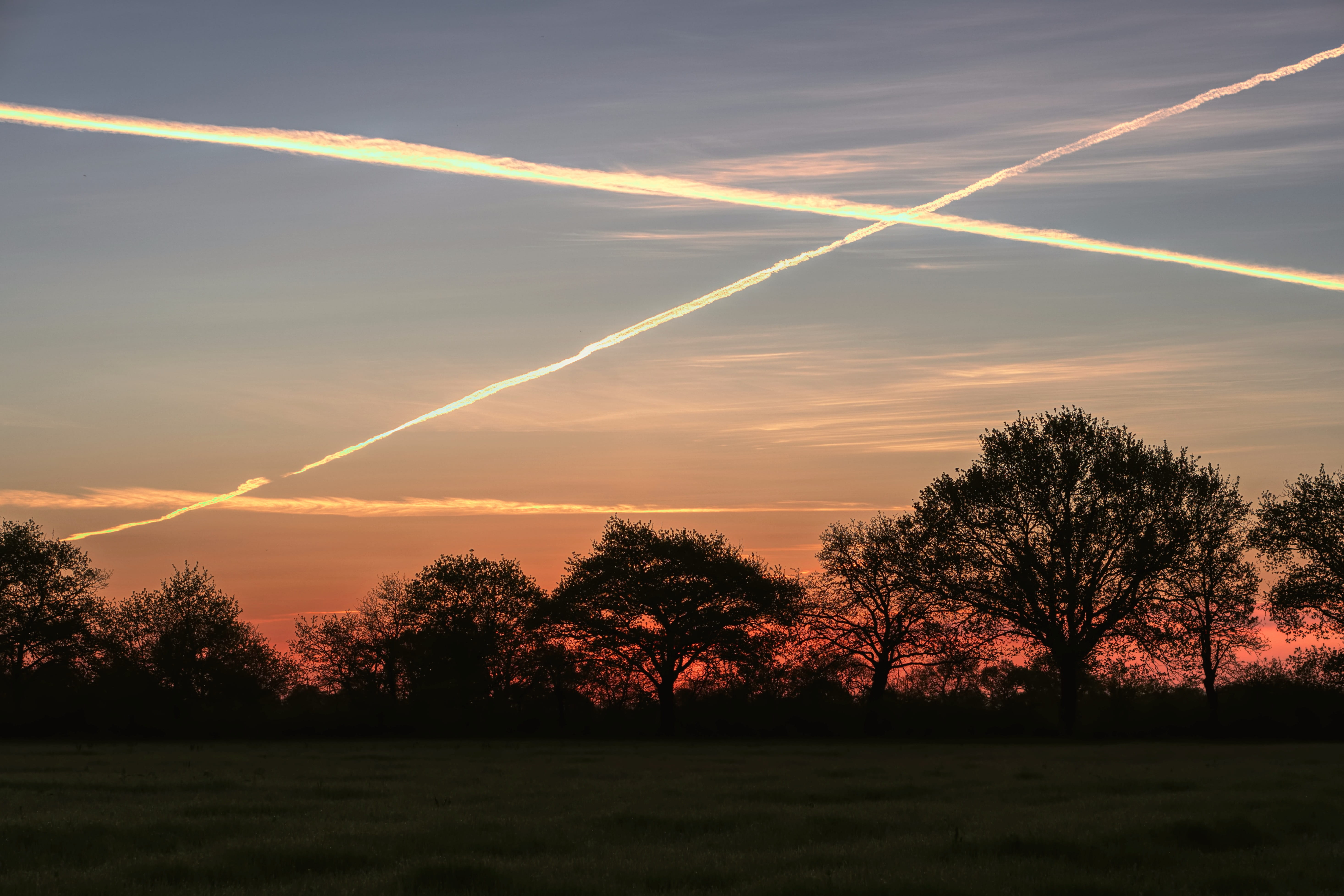 tree, growth, beauty in nature, cloud - sky, colorful, traces plane, morning, dawn, sky, survey, field, light, idyllic, environment, tranquil scene, land, HD Wallpaper