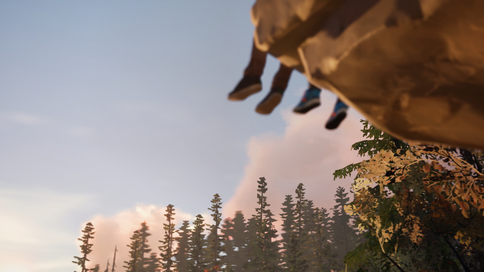 Life Is Strange 2, Video Game, 1080P, HD Wallpaper
