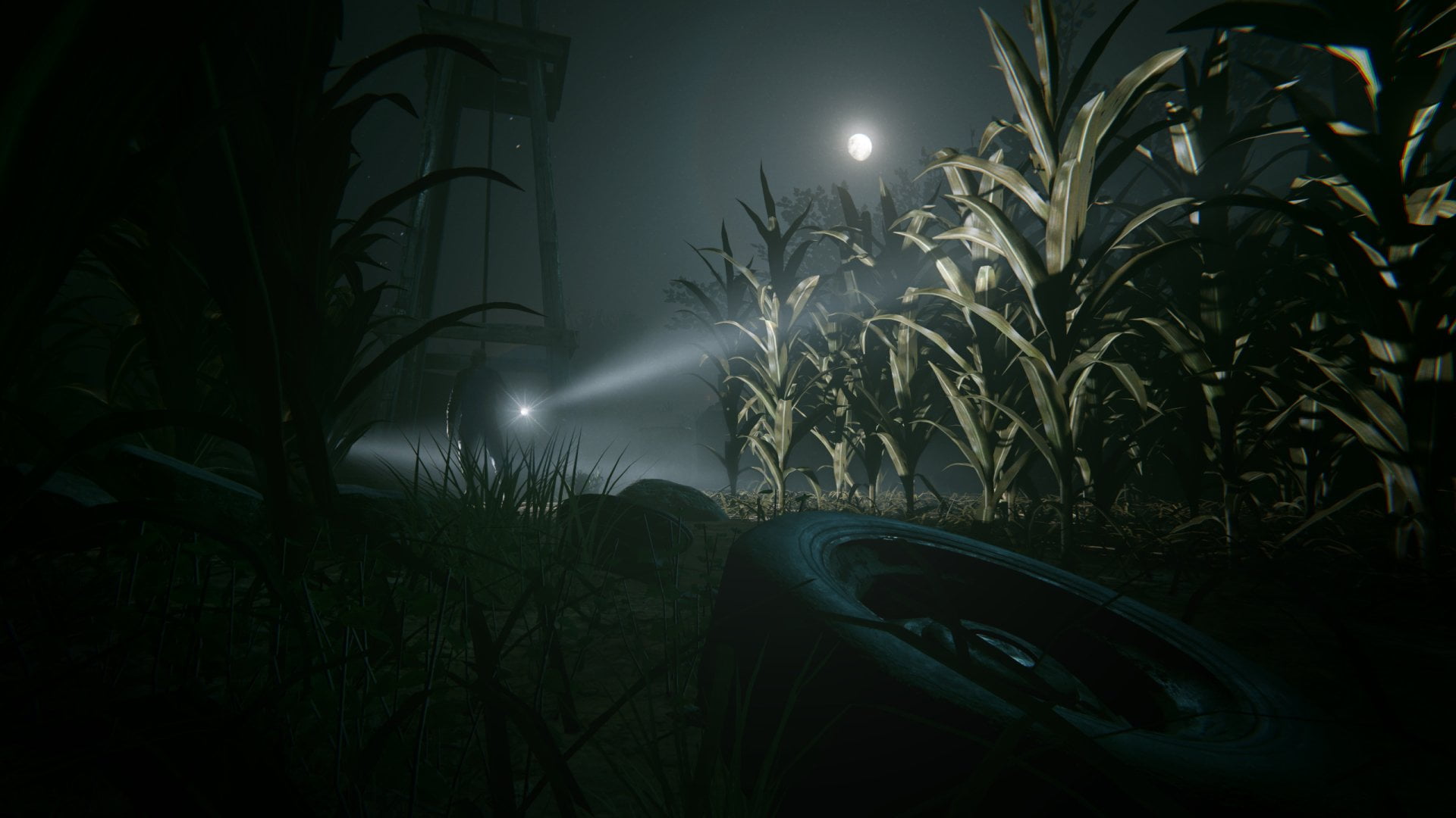 moonlight, illuminated, nature, tree, night, growth, long exposure, plant, Outlast 2, motor vehicle, outdoors, car, mode of transportation, land vehicle, HD Wallpaper