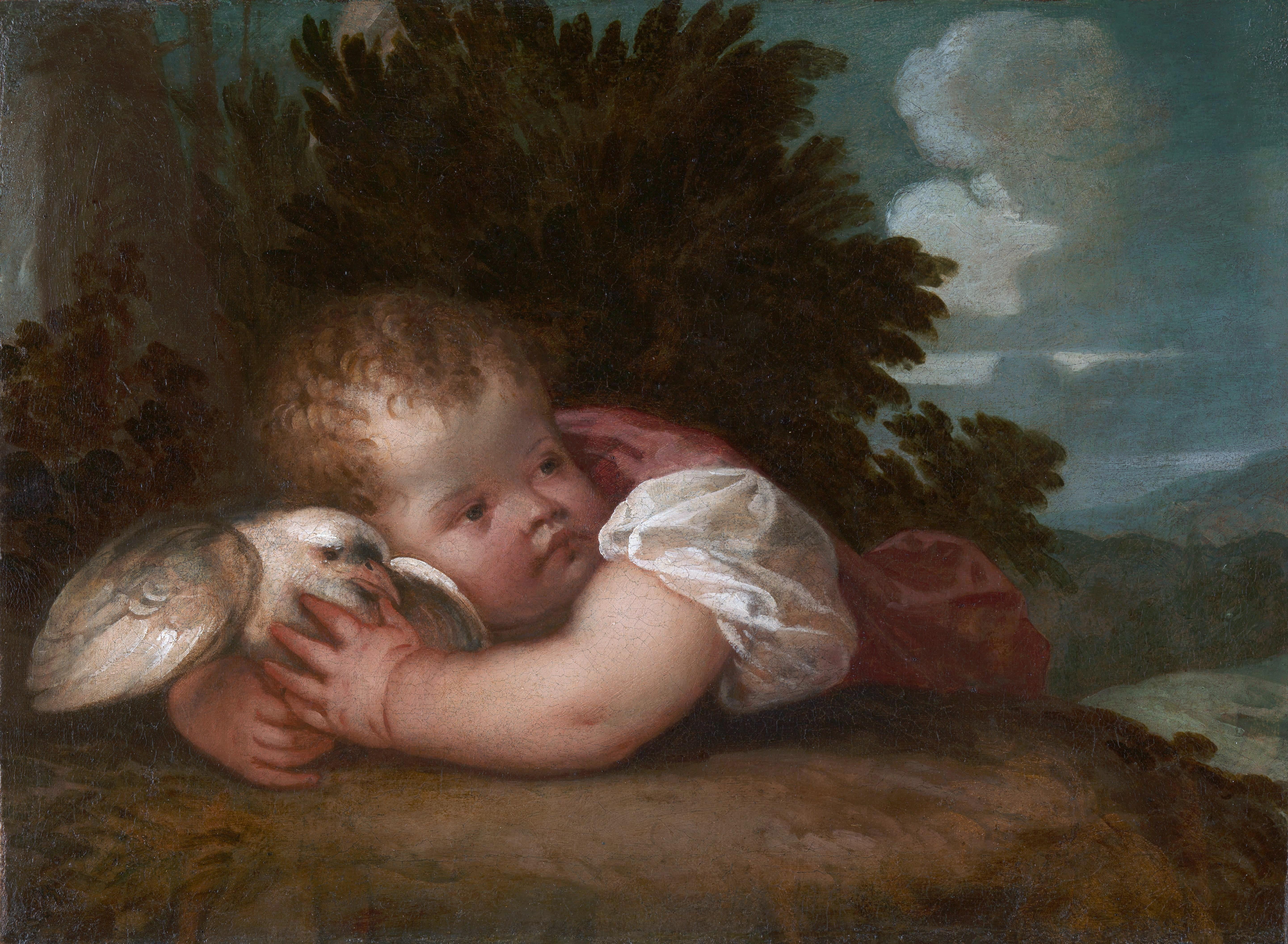 Bird boy, 5K, Titian and his apprentices, maybe 1520, HD Wallpaper