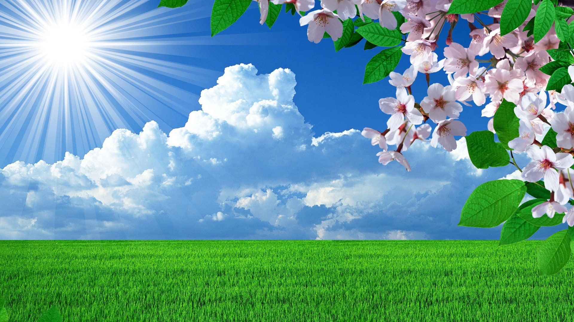 1920x1080, Nature Spring, nature, background, 1080P, 4k pics, Landscape, HD Wallpaper