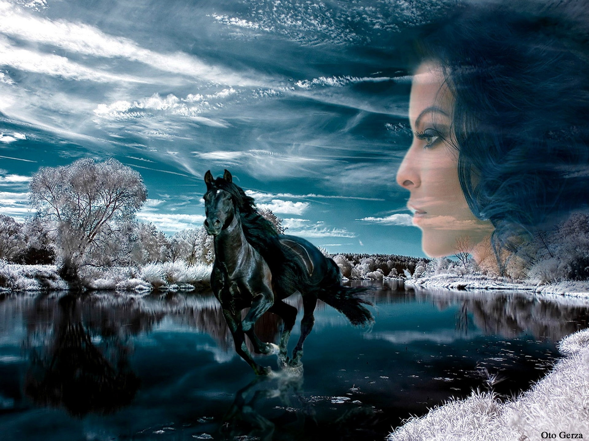 horses, x, women, art, nature, 1080P, animals, fantasy, hd, HD Wallpaper