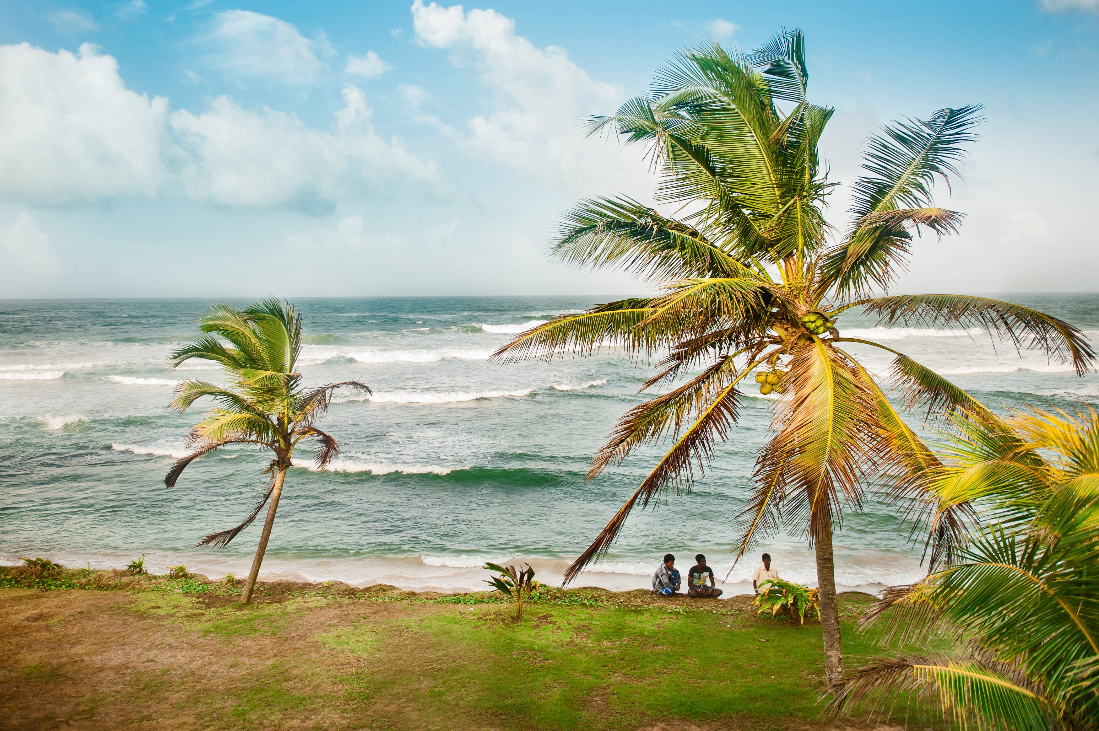 summer, plant, coconuts, beauty in nature, landscape, scenics - nature, horizon, water, tropics, tropical climate, day, tranquility, storm, lifestyles, HD Wallpaper