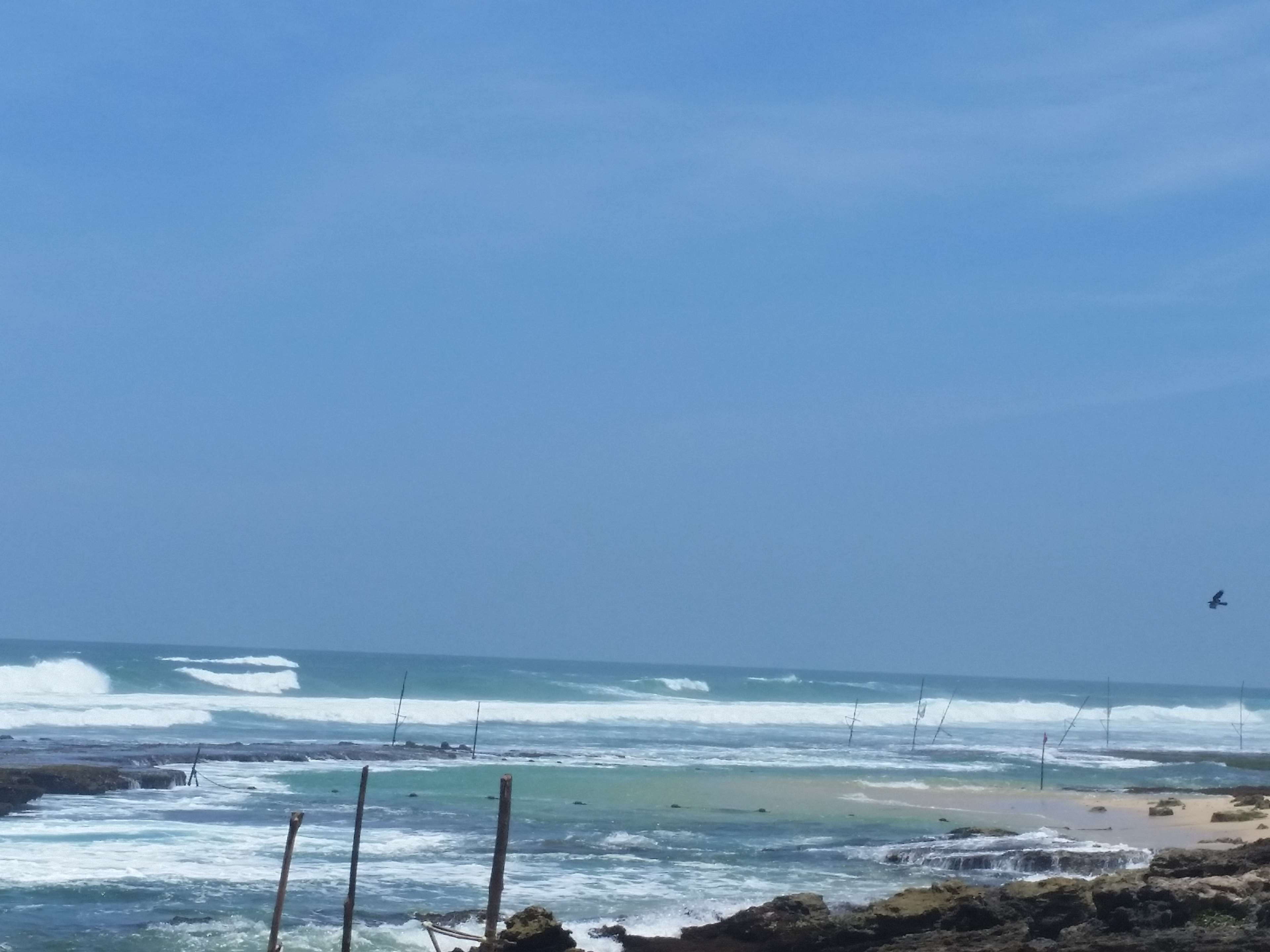 outdoors, sri lankan photos, sport, scenics - nature, motion, sri lanka beaches, day, surfing, 4K, rajith, unawatuna, beach, sea, power in nature, horizon over water, HD Wallpaper