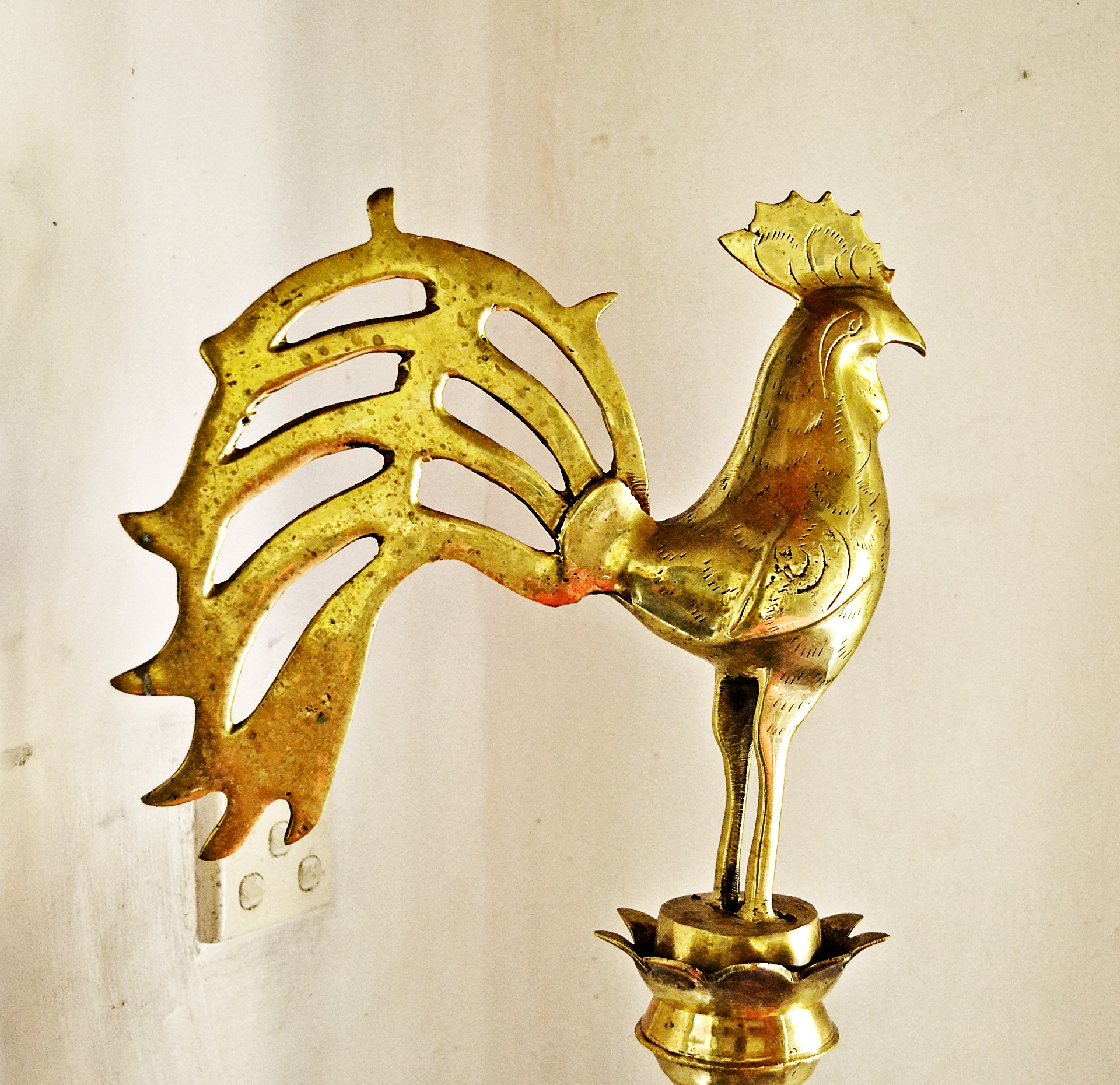 creativity, sri lankan culture, animal representation, ceylon, animal, polgolla, representation, animal themes, wall - building feature, craft, mammal, HD Wallpaper