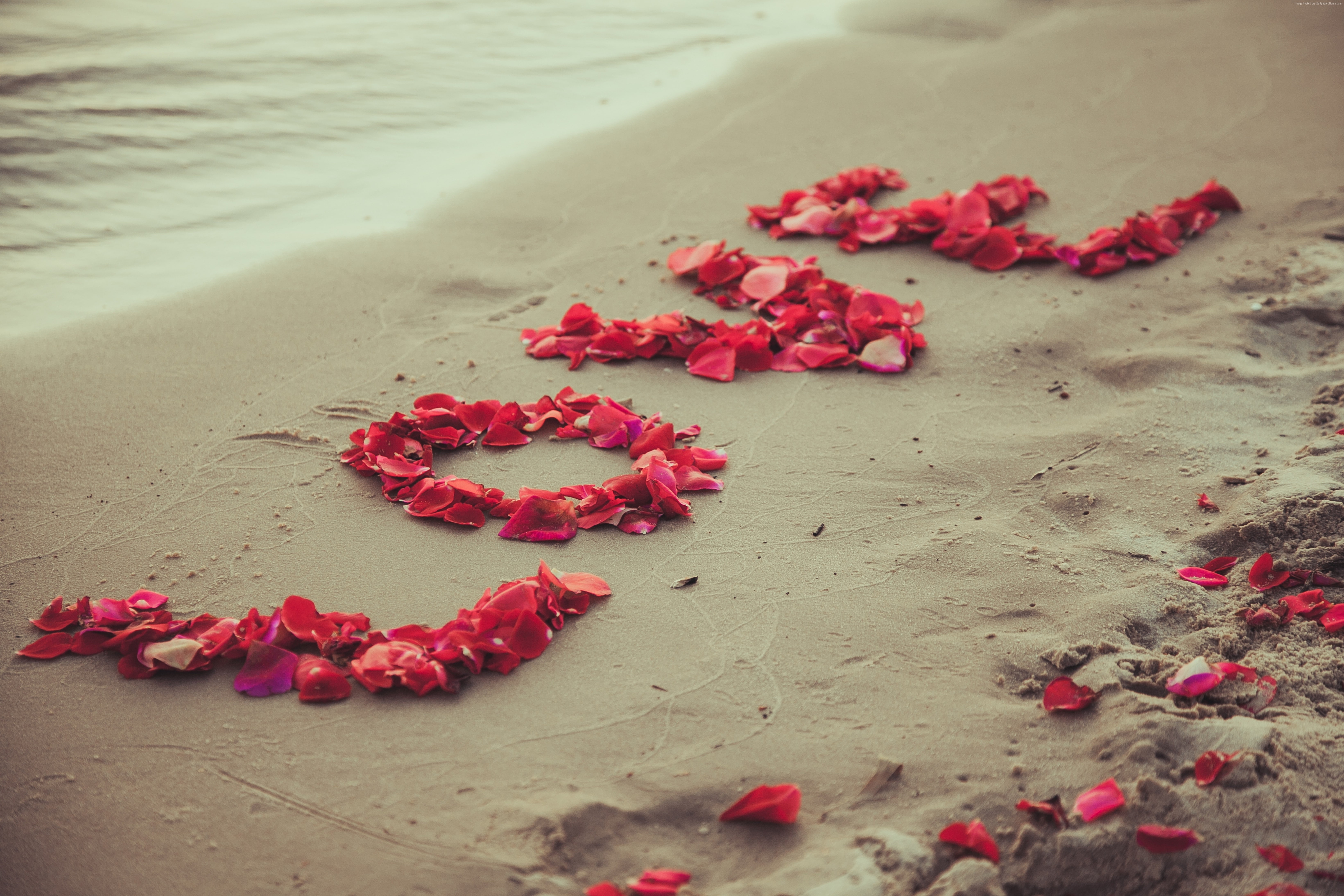 5K, 5k, flowers, sea, heart, beach, love image, HD Wallpaper