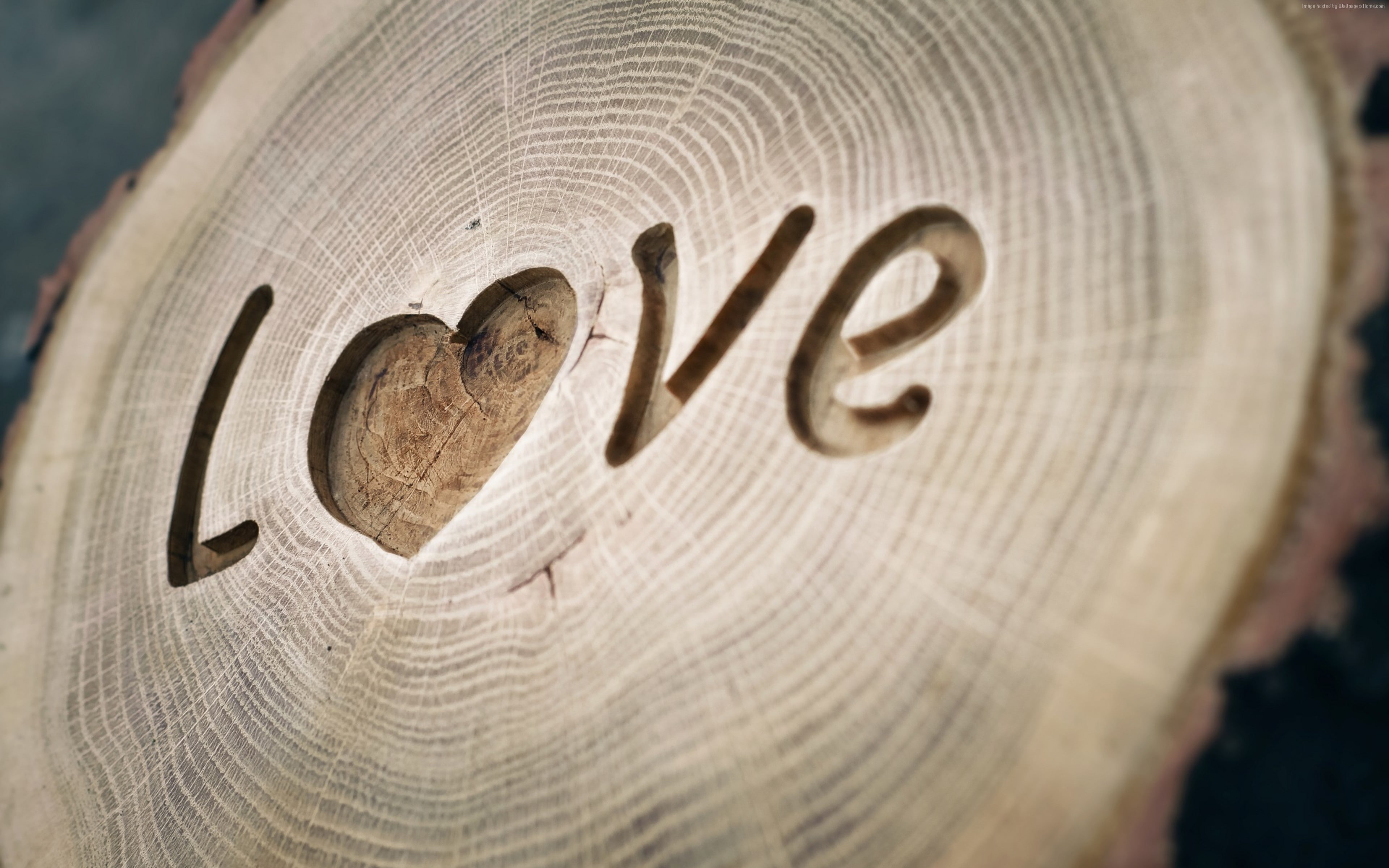 love image, 4K, heart, 4K, HD Wallpaper