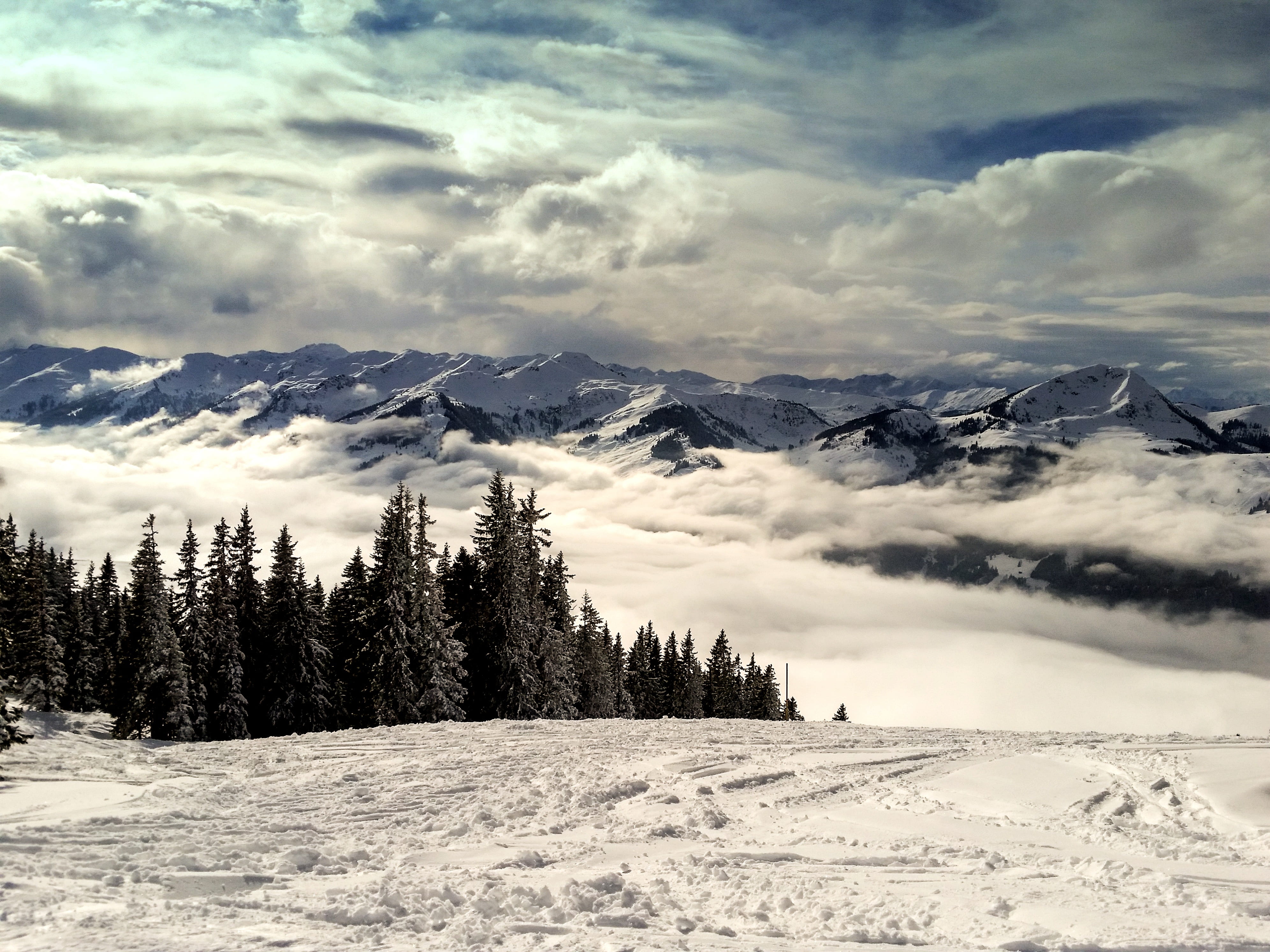 snowcapped mountain, mountain range, highest peak, pine woodland, sky, tranquil scene, alpine, tree, tyrol, clouds, snow, cloud - sky, no people, austria, HD Wallpaper