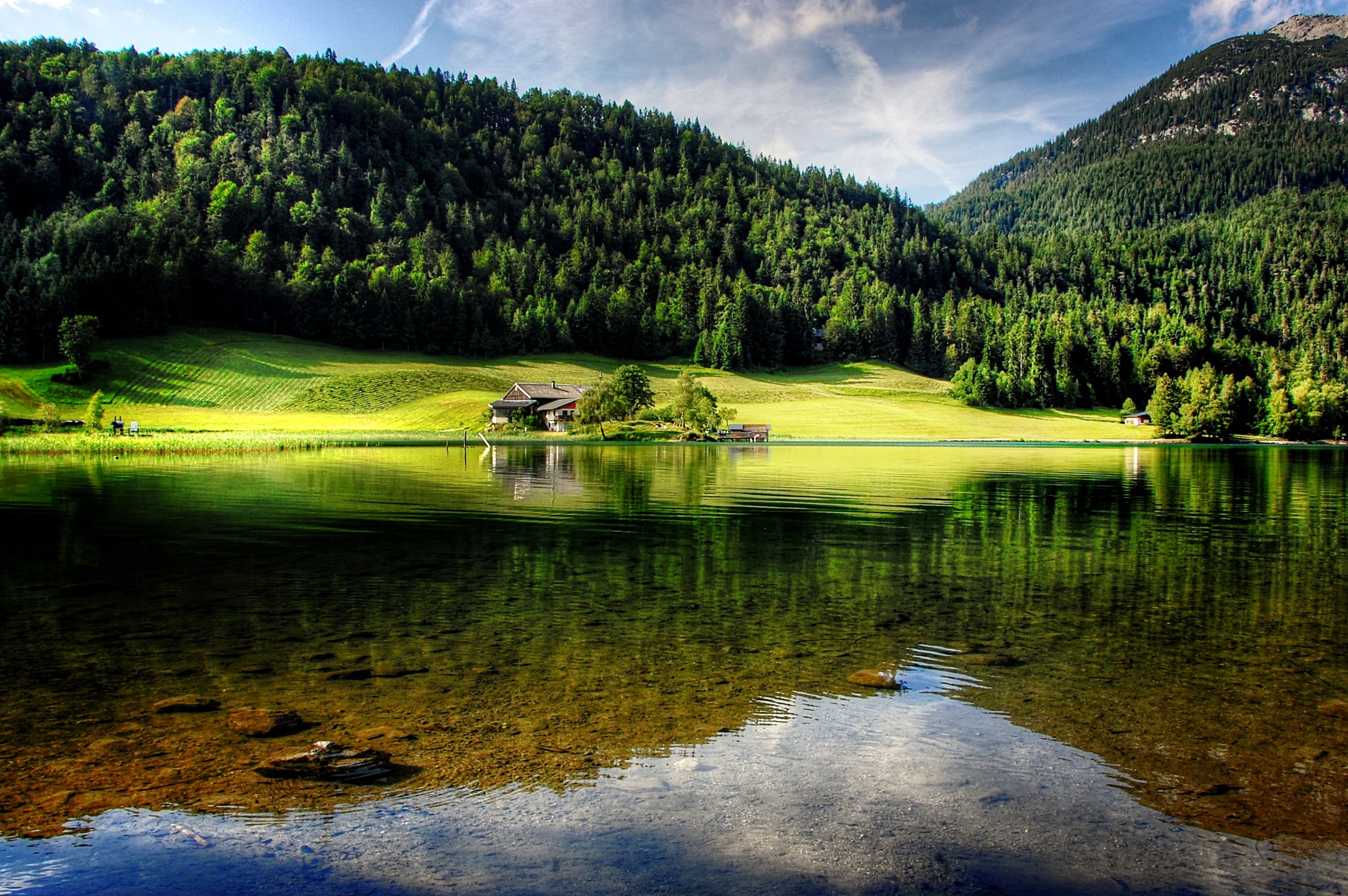clouds, forest, body, valley, grass, pine woodland, pine tree, scenics - nature, idyll, mountain, plant, trees, rock, hiking, austria, nature, beauty in nature, HD Wallpaper