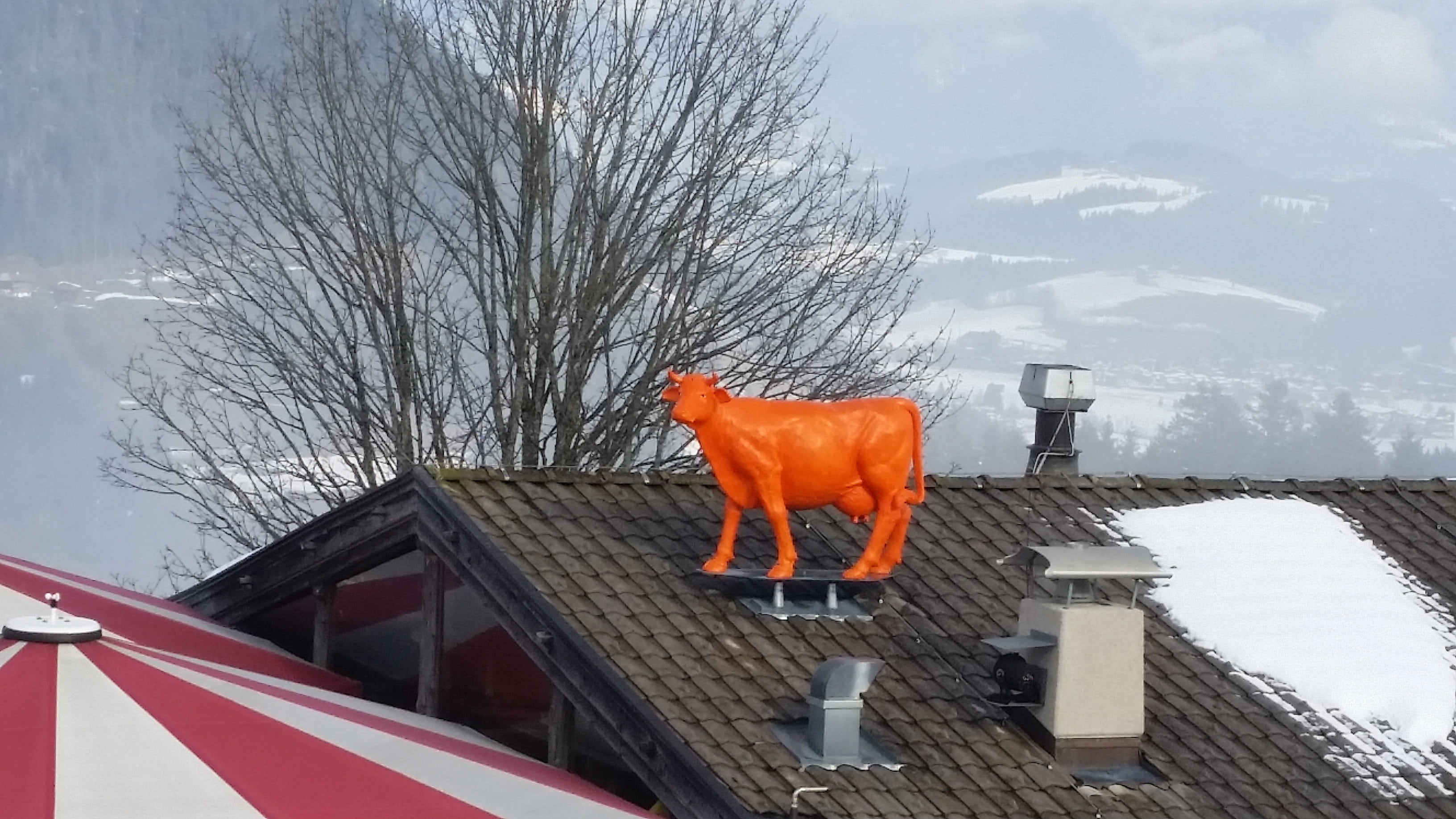 domestic animals, bare tree, building exterior, red, pets, orange color, horse, roof, built structure, outdoors, day, no people, sky, tree, architecture, HD Wallpaper