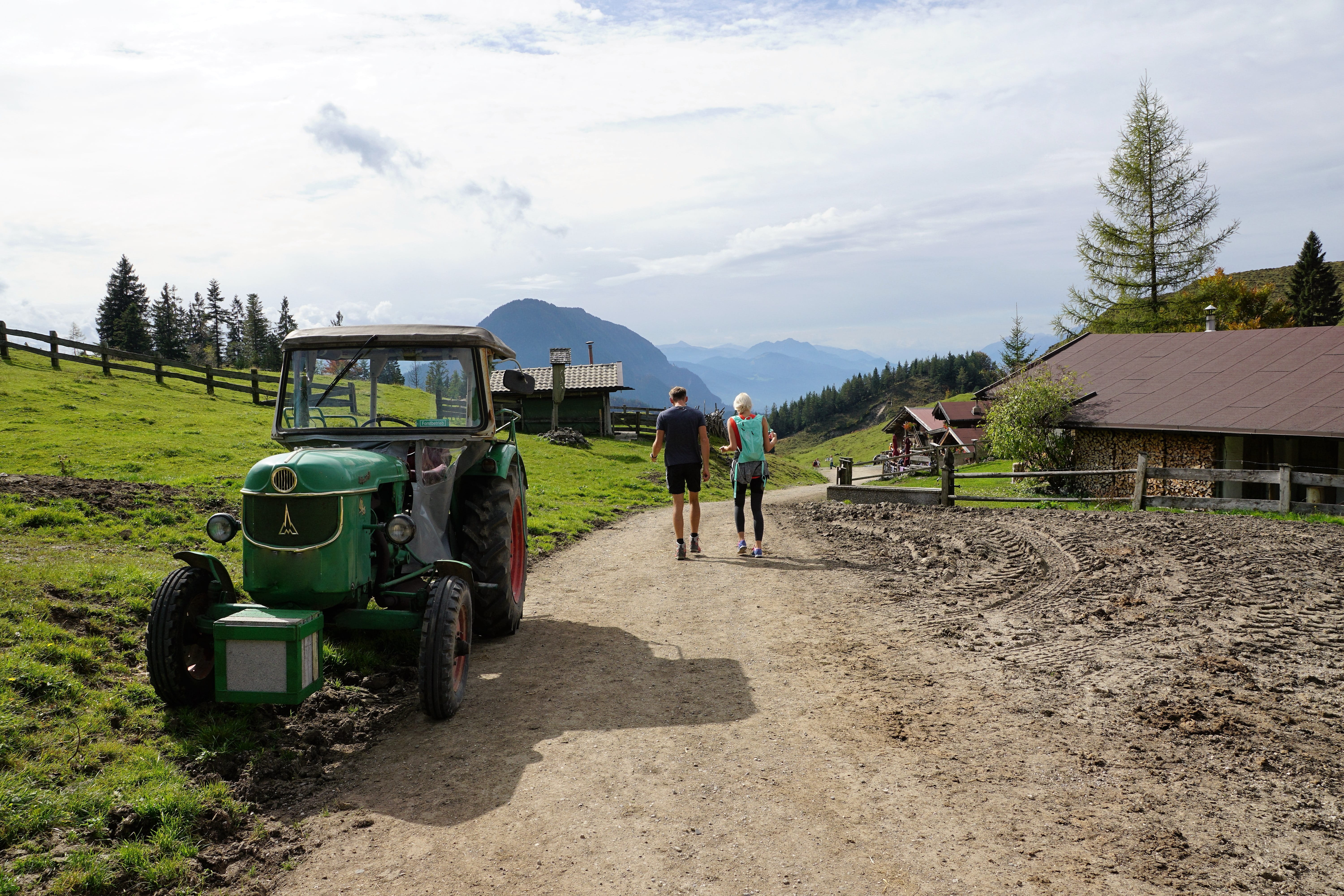 alm, machine, transportation, kuhwiese, mountain, field, tree, almabtrieb, away, kitzbühel, adult, hike, grass, decoration, fun, forest, tractor, jewellery, HD Wallpaper