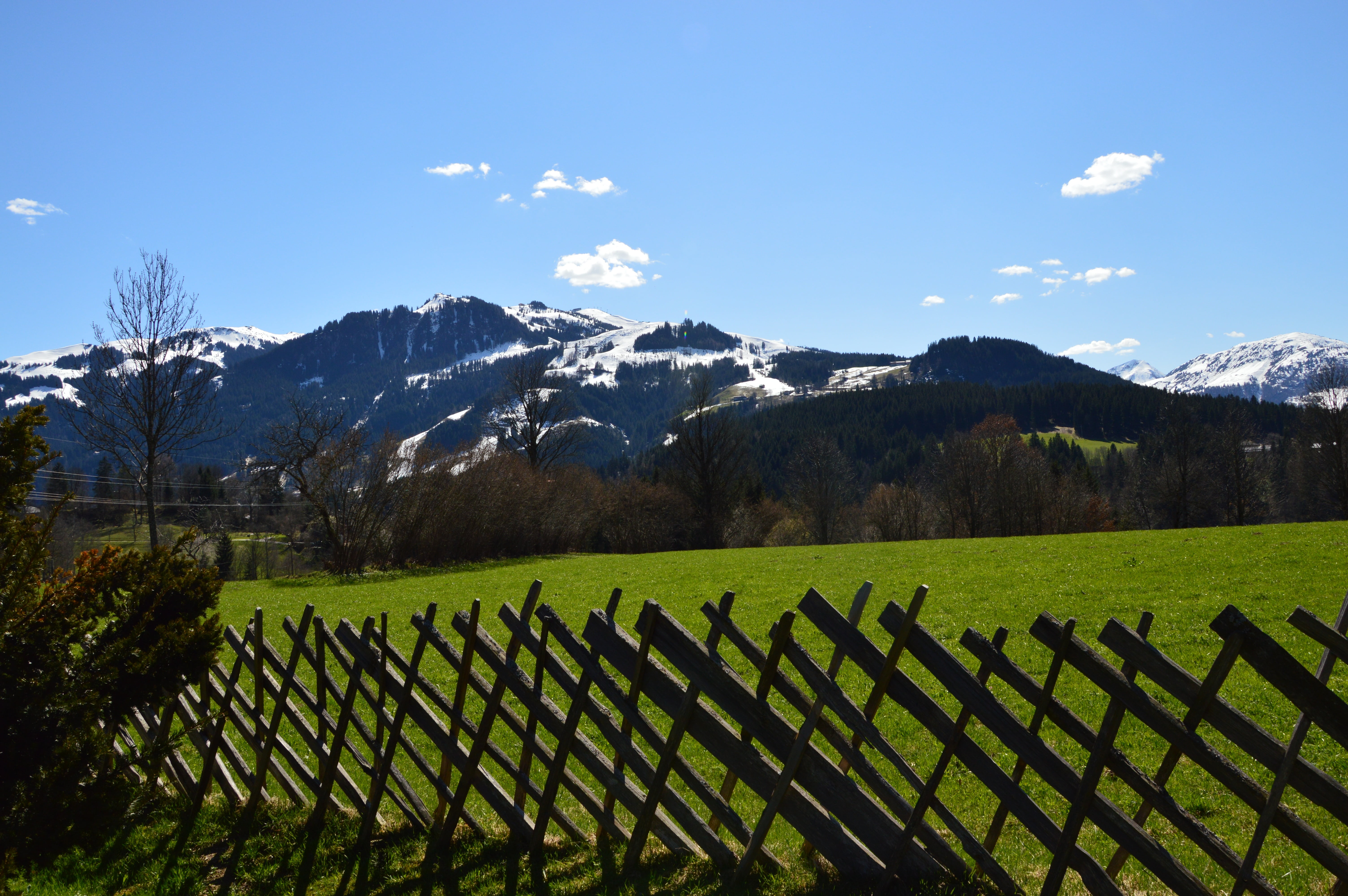 wood fence, scenics - nature, plant, environment, field, mountain, outdoors, mountain range, rural Scene, landscape, tree, tranquility, snowcapped mountain, HD Wallpaper