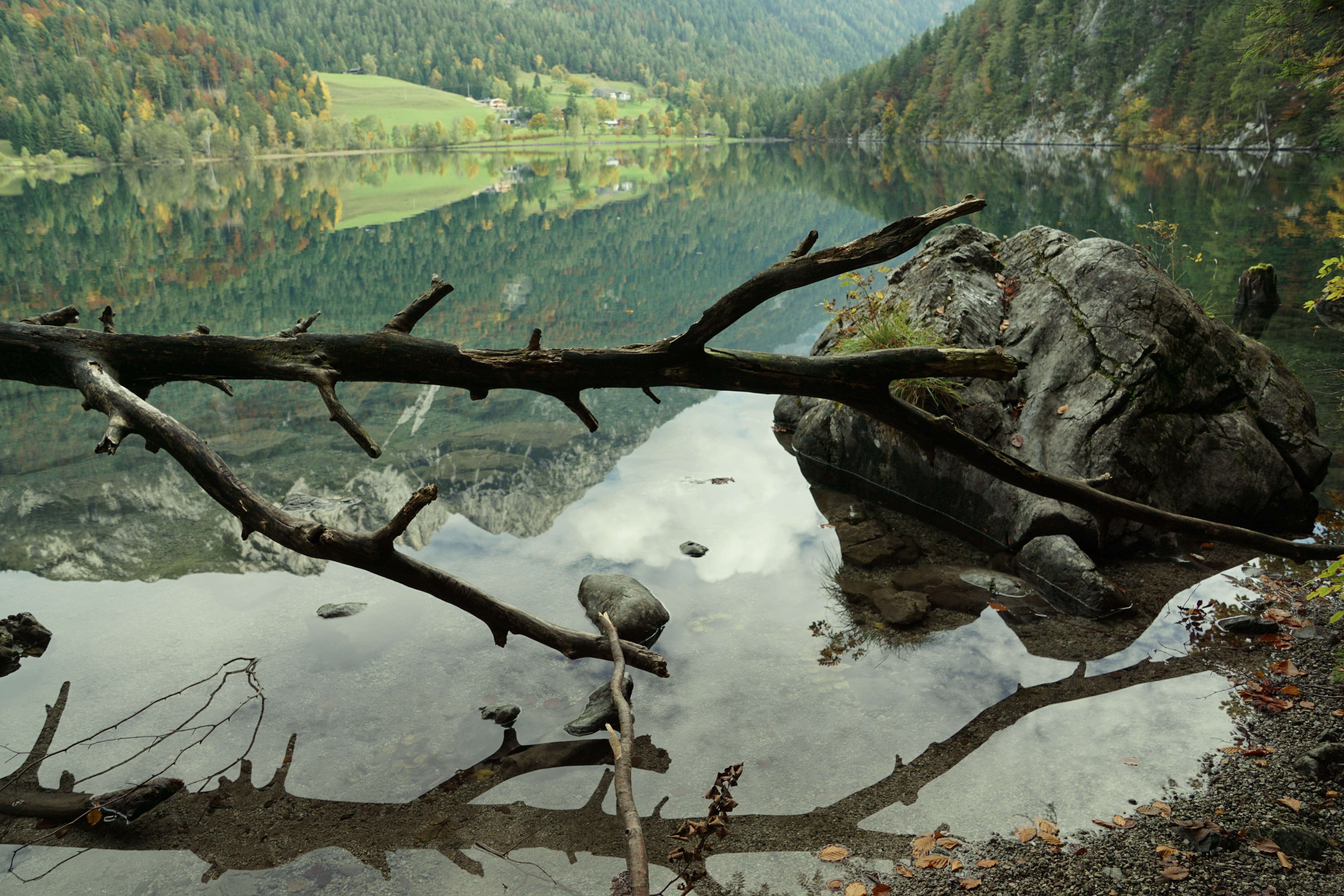 summit, holidays, driftwood, water, climb, mountains, mood, alpine, plant part, lake view, ellmau, landscape, elmau, lake, stanglwirt, sky, wave, land, HD Wallpaper