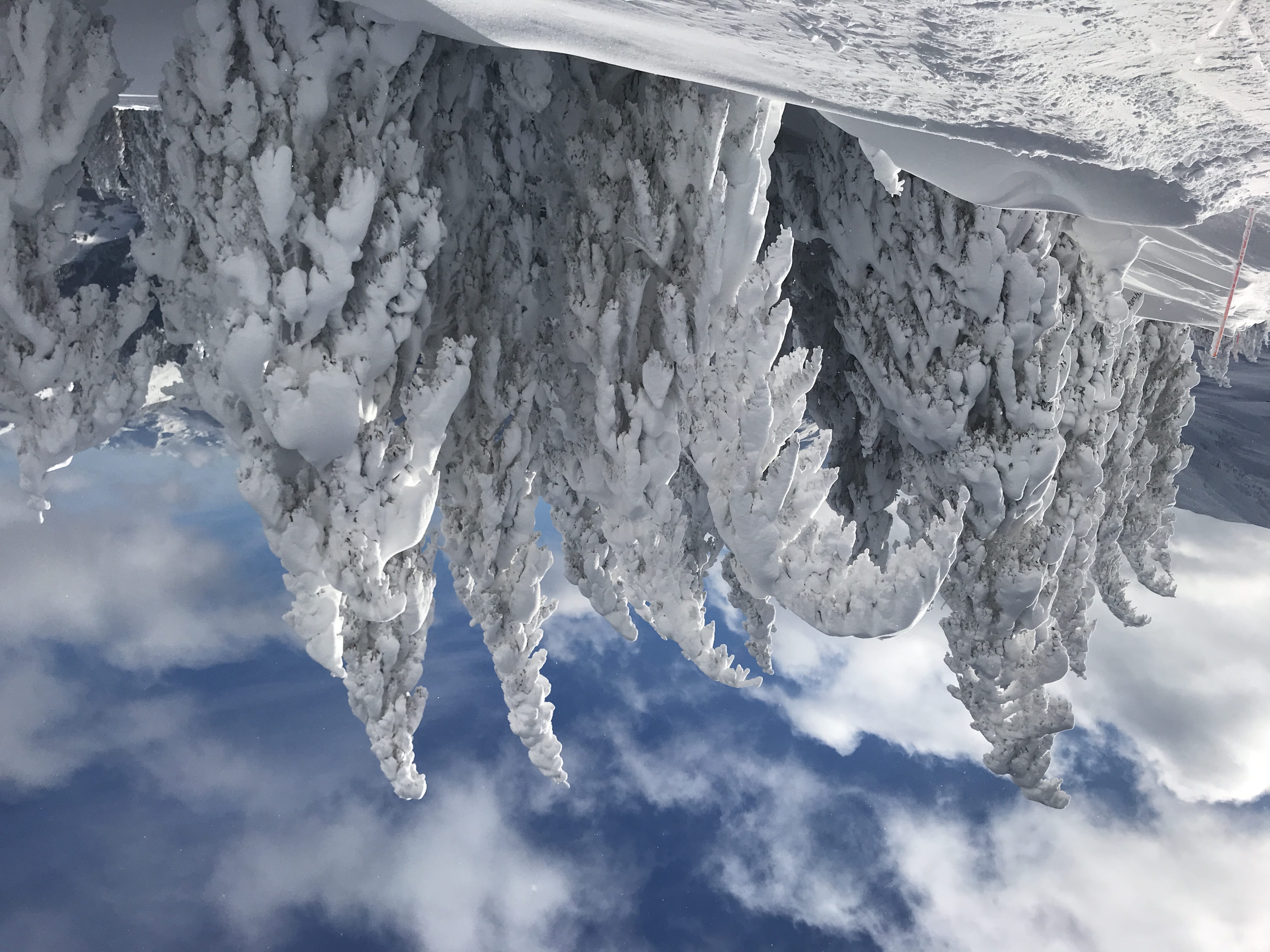 4K, sky, environment, woodland, austria, white color, plant, tranquil scene, icicle, beauty in nature, cold temperature, mountain, hahnenkamm 24, mountain peak, HD Wallpaper