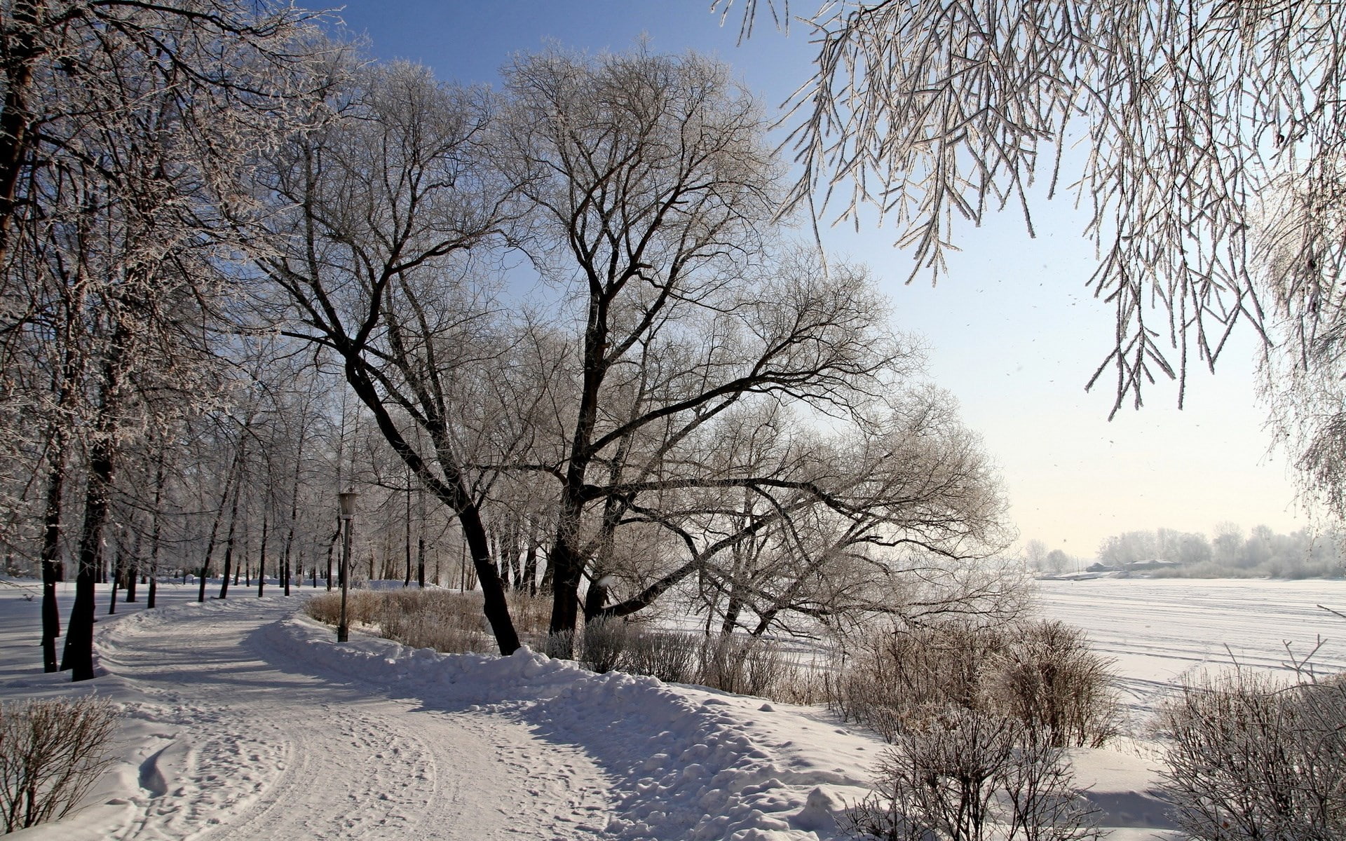 scenics - nature, winter, covering, field, tree, pc hd nature image 1920x1200, environment, day, outdoors, snowcapped mountain, extreme weather, 1080P, HD Wallpaper