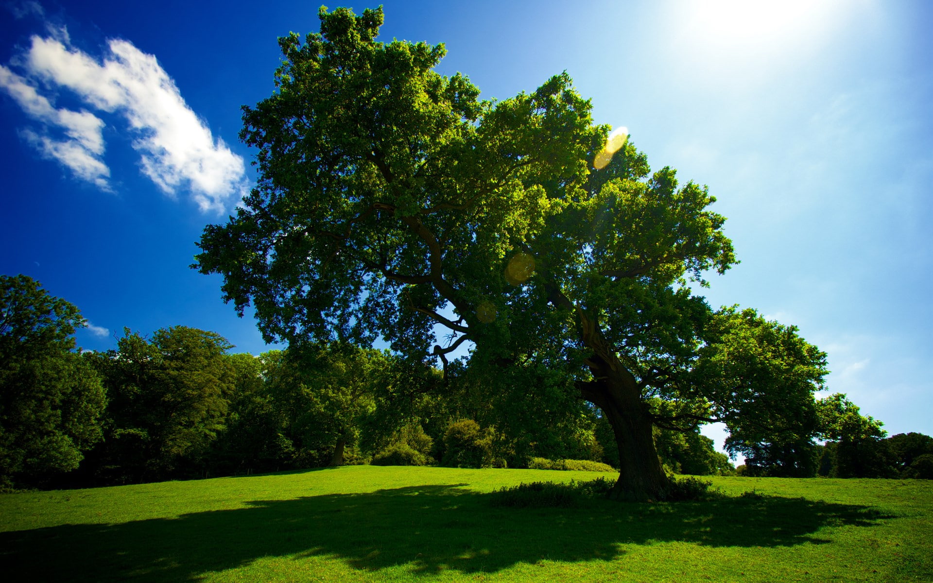 pc hd nature image 1920x1200, 1080P, HD Wallpaper