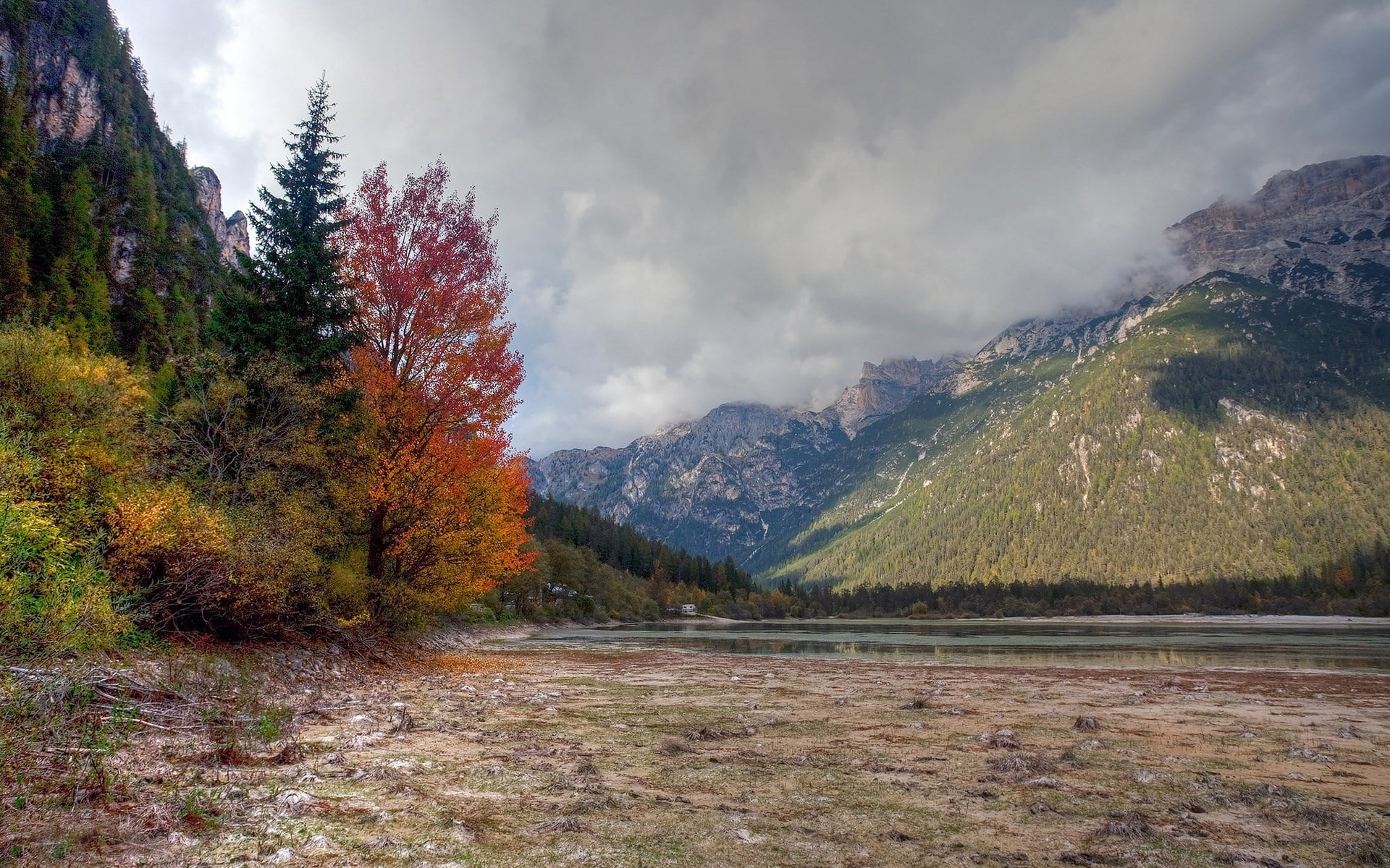 1080P, pc hd nature image 1920x1200, HD Wallpaper
