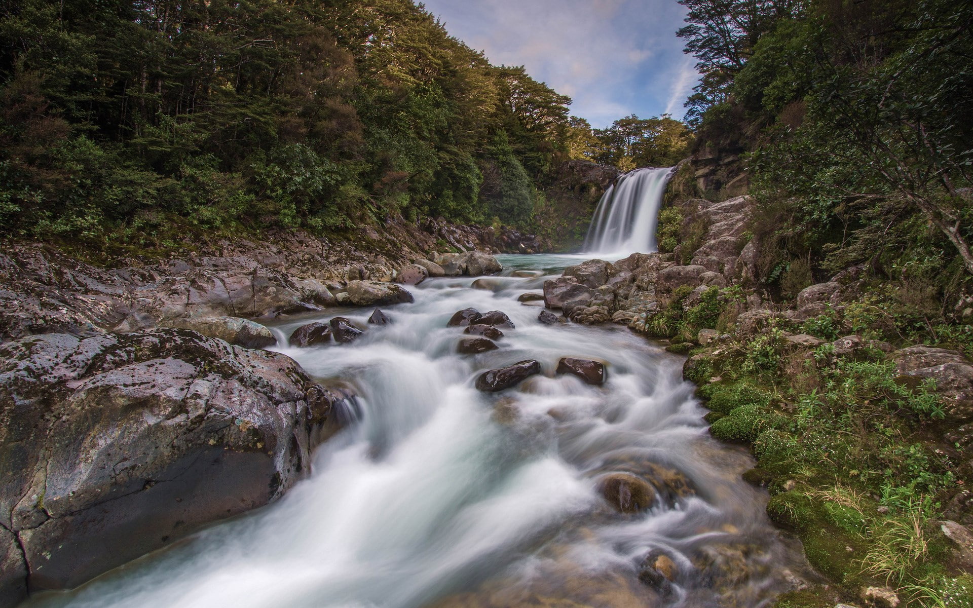 forest, flowing, rock, no people, flowing water, pc hd nature image 1920x1200, scenics - nature, stream - flowing water, waterfall, rainforest, tree, nature, HD Wallpaper