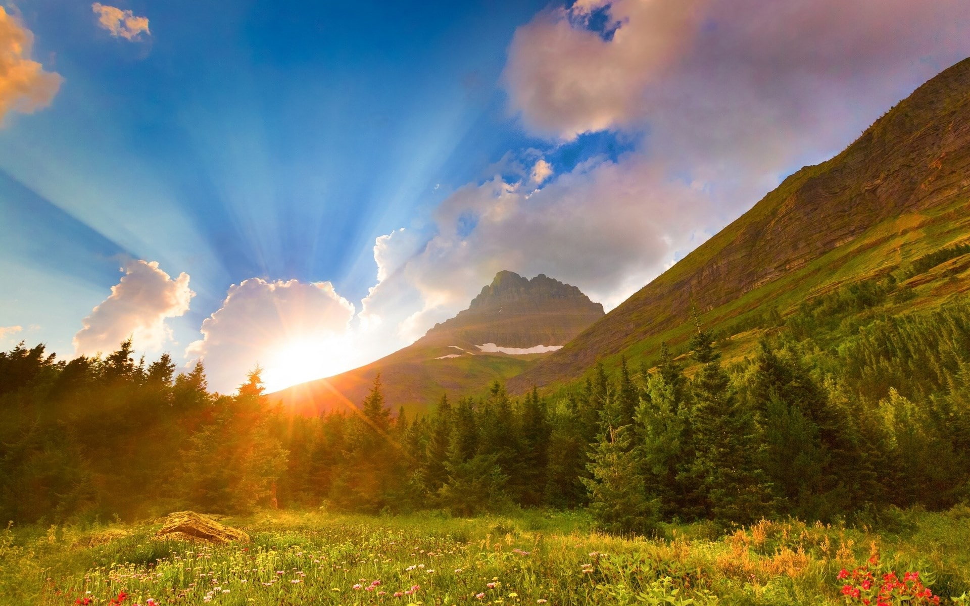 1080P, pc hd nature image 1920x1200, HD Wallpaper