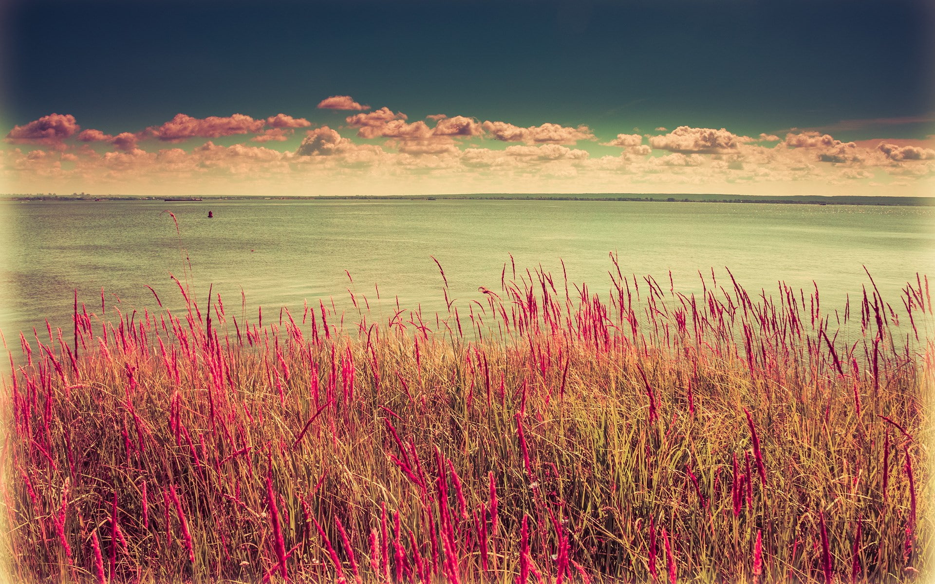 non-urban scene, pc hd nature image 1920x1200, beauty in nature, tranquility, land, sky, plant, 1080P, sunset, water, outdoors, landscape, no people, nature, HD Wallpaper