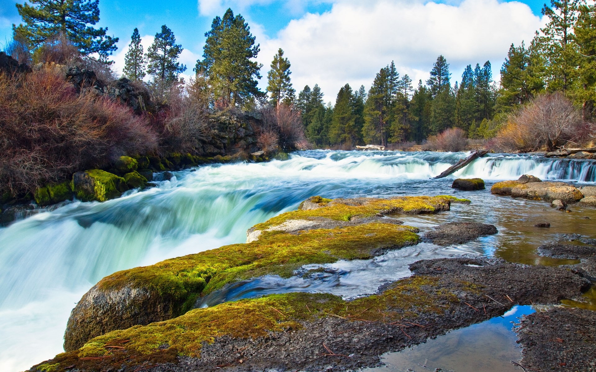 1080P, download hd images of nature for pc 1920x1200, HD Wallpaper