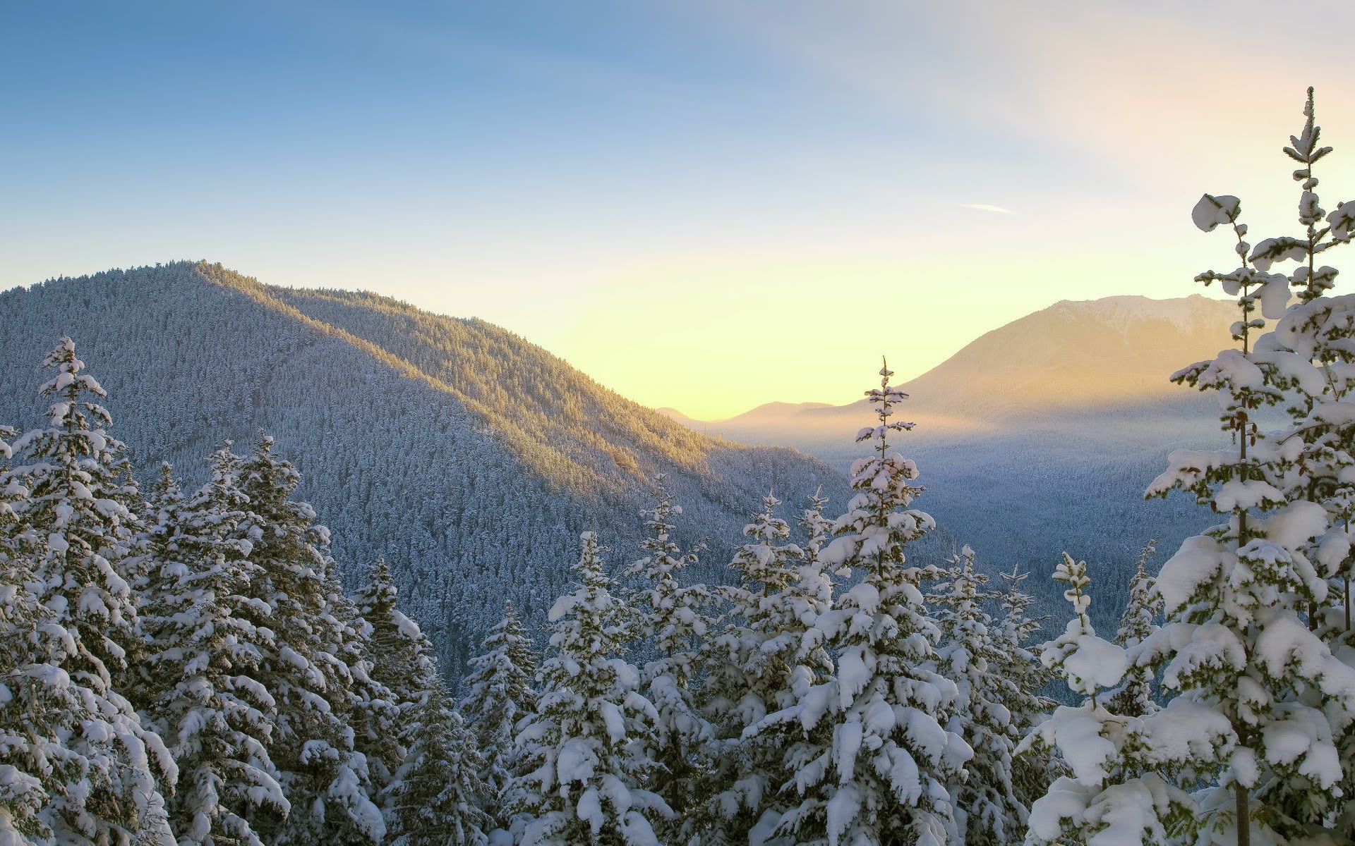 download hd images of nature for pc 1920x1200, 1080P, HD Wallpaper