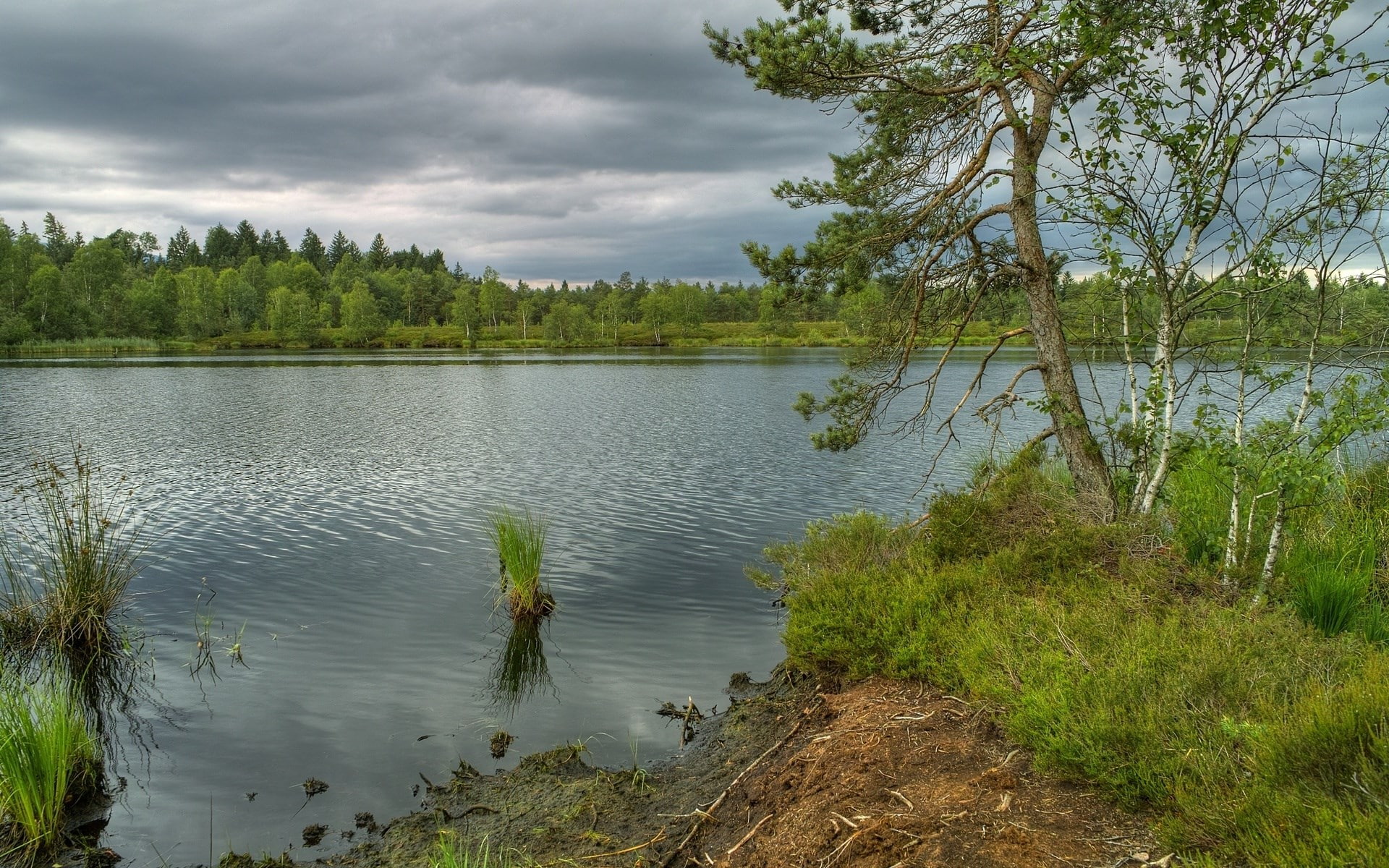 cool backgrounds nature 1920x1200, 1080P, HD Wallpaper