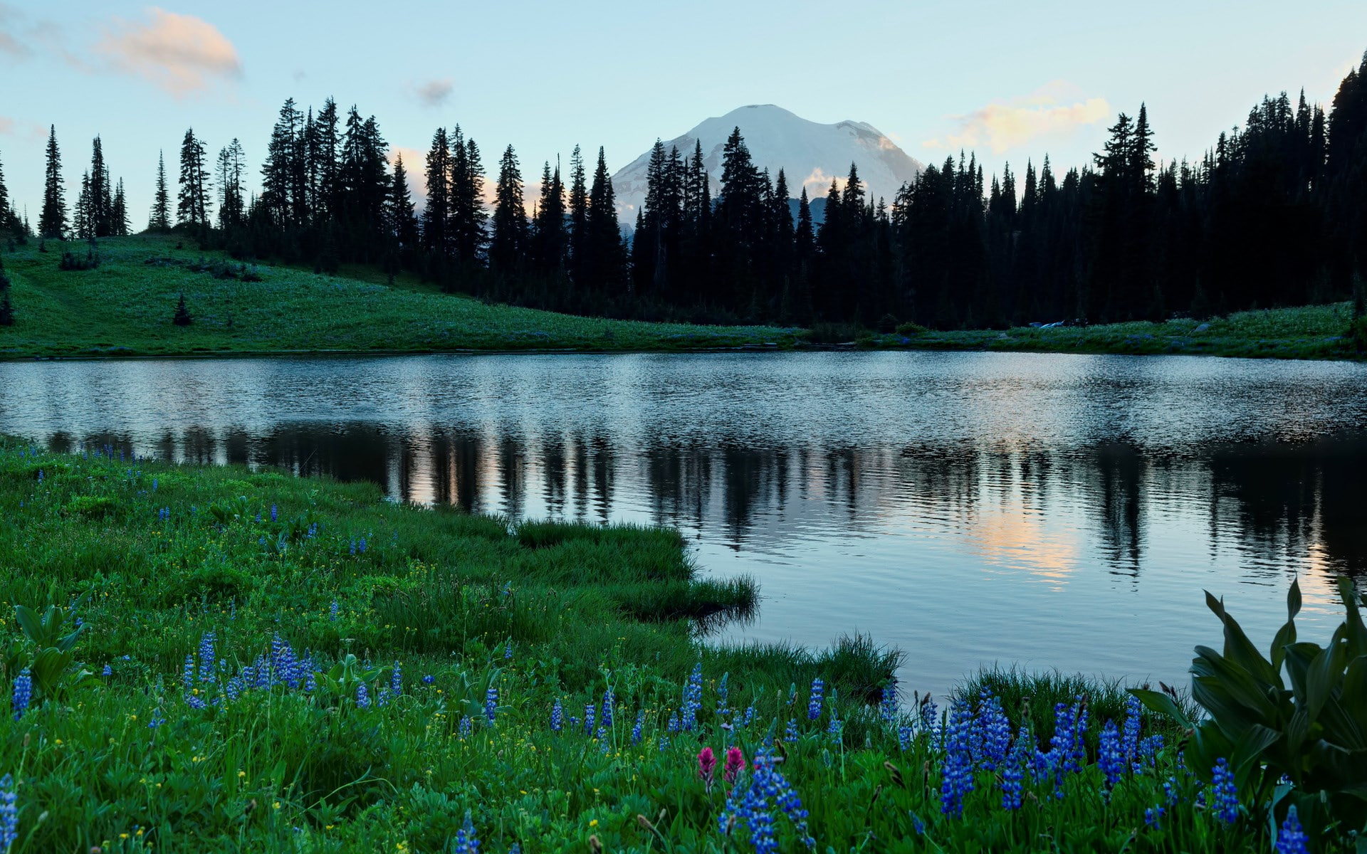 1080P, beauty in nature, green color, day, cool backgrounds nature 1920x1200, scenics - nature, tranquility, no people, plant, tranquil scene, lake, non-urban scene, HD Wallpaper