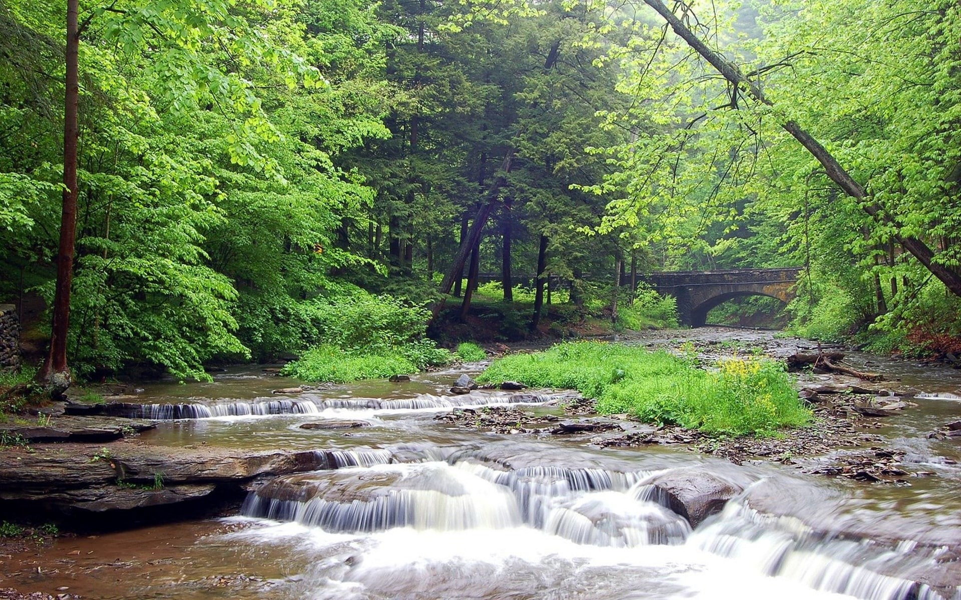 stream - flowing water, plant, nature, river, power in nature, scenics - nature, green color, waterfall, cool backgrounds nature 1920x1200, tree, flowing, HD Wallpaper