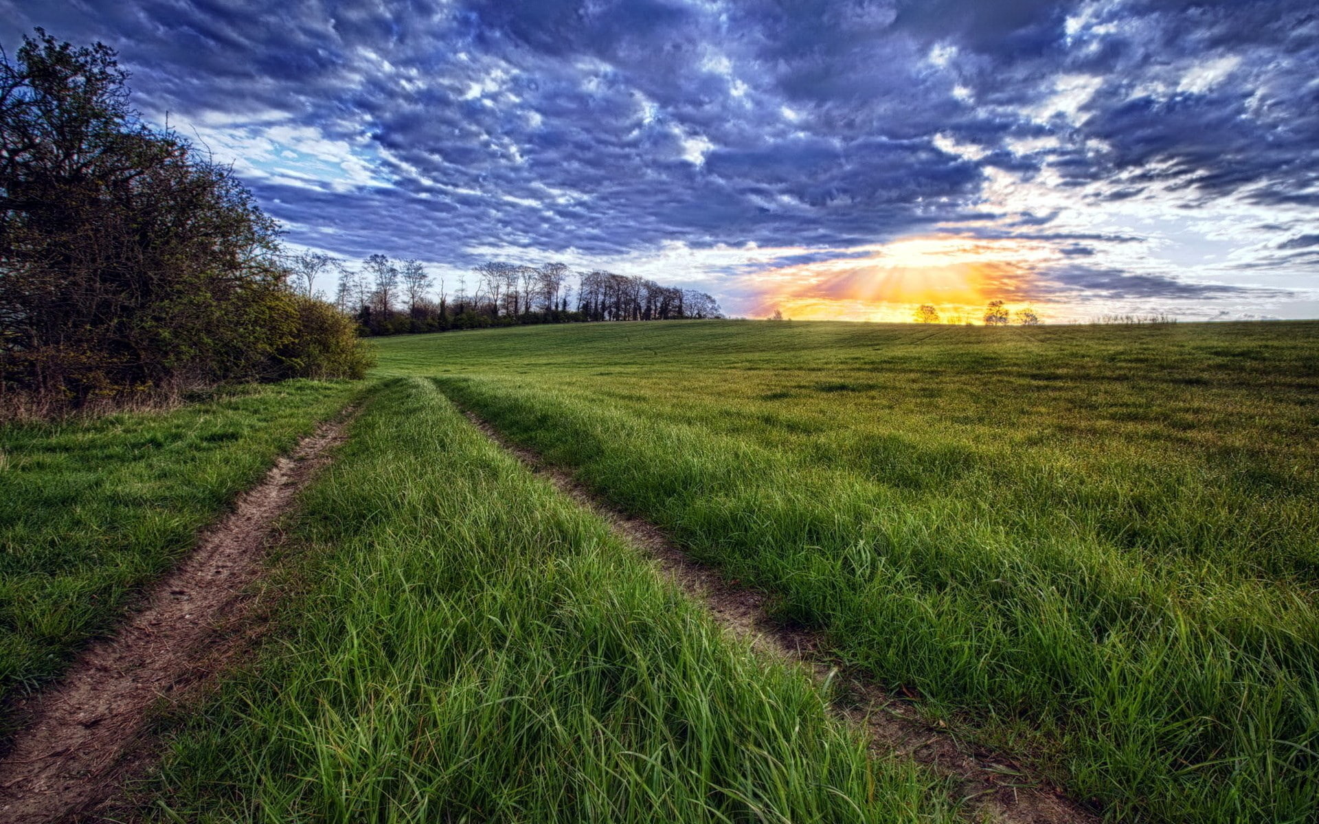 cool pics of nature hd background 1920x1200, 1080P, HD Wallpaper