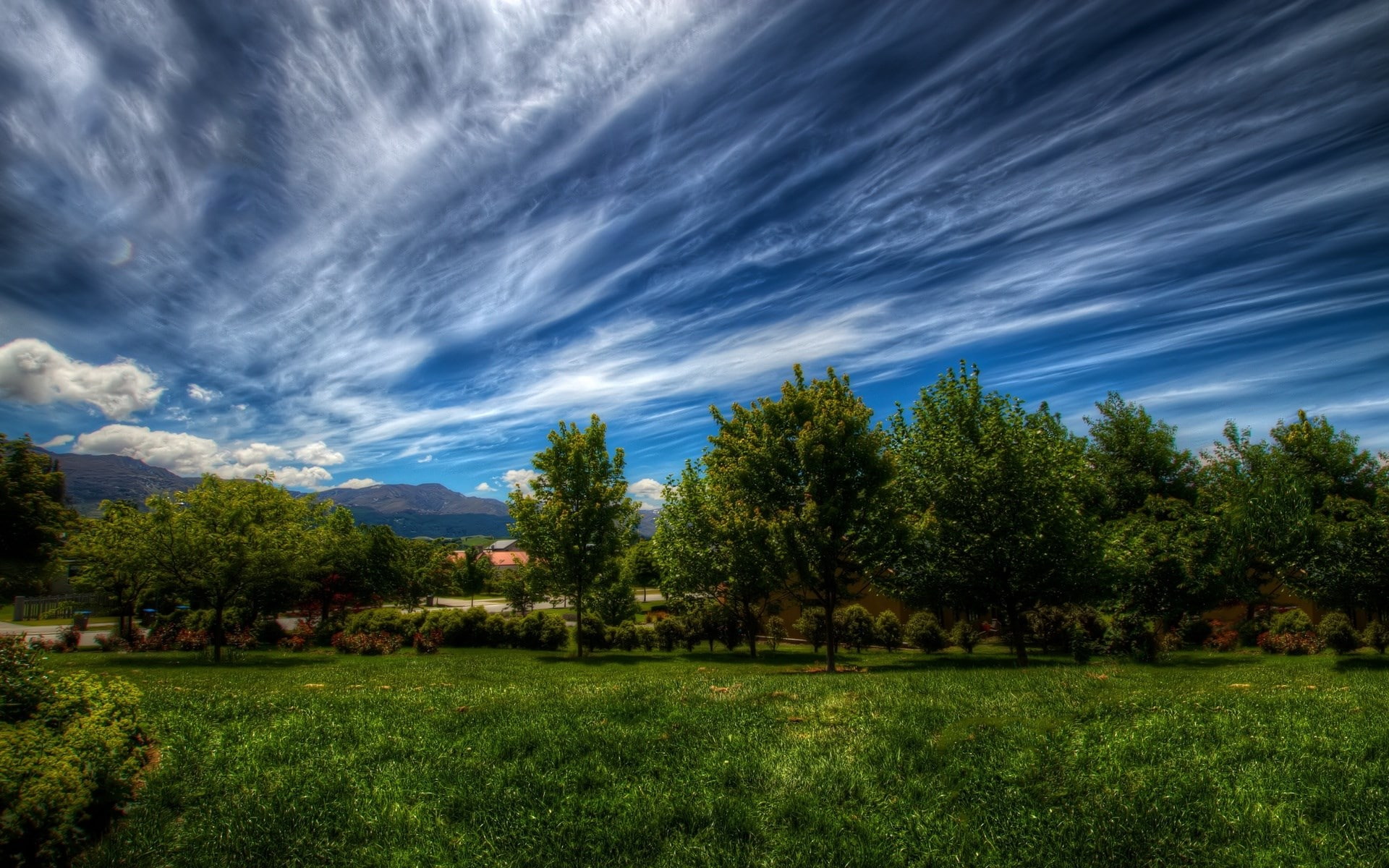 tranquility, day, nature, tranquil scene, cloud - sky, idyllic, nature hd picture for pc 1920x1200, sky, tree, no people, field, scenics - nature, plant, HD Wallpaper