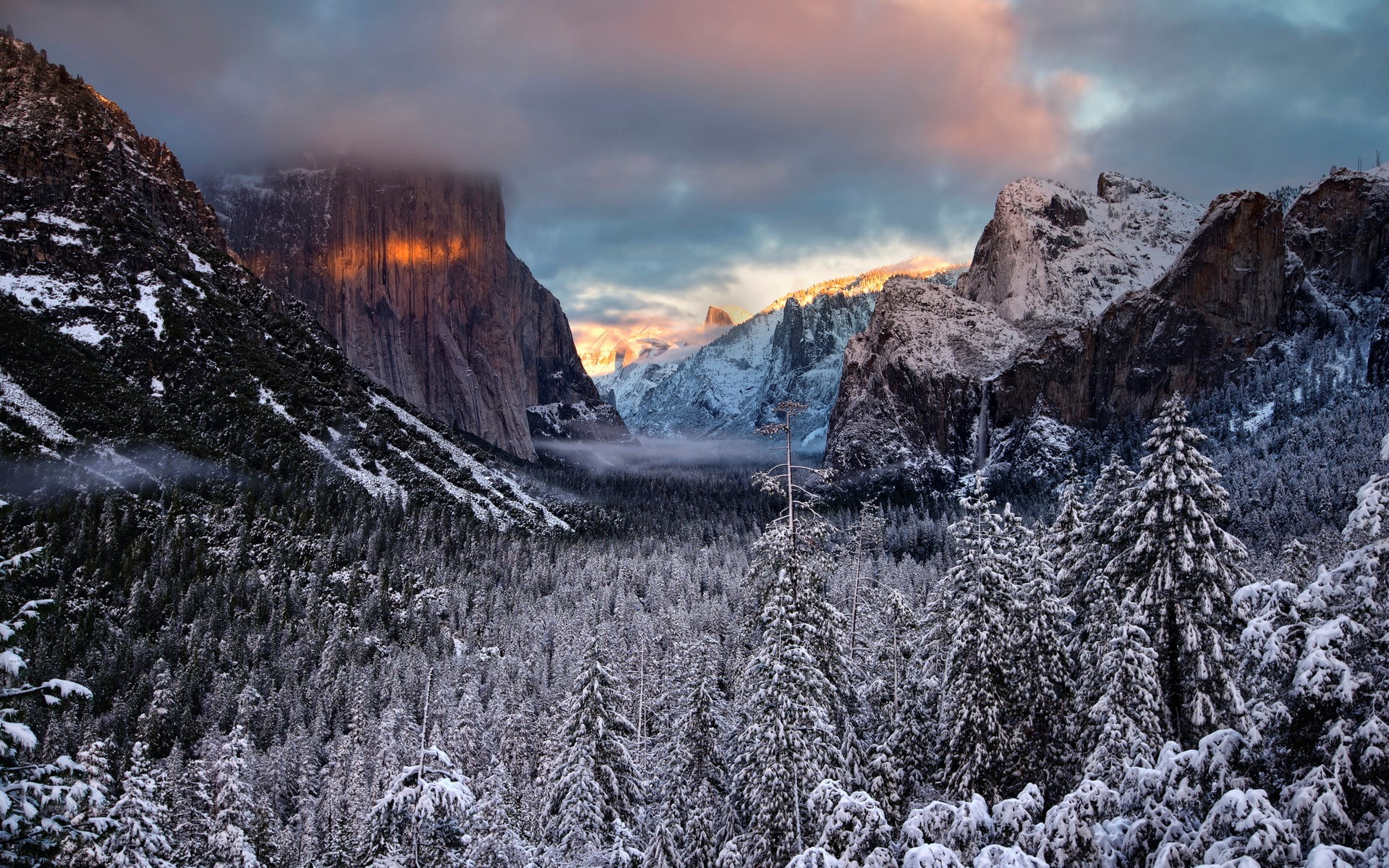 nature pictures for pc 1920x1200, coniferous tree, scenics - nature, rock, tranquil scene, landscape, snow, plant, 1080P, pine tree, cold temperature, HD Wallpaper