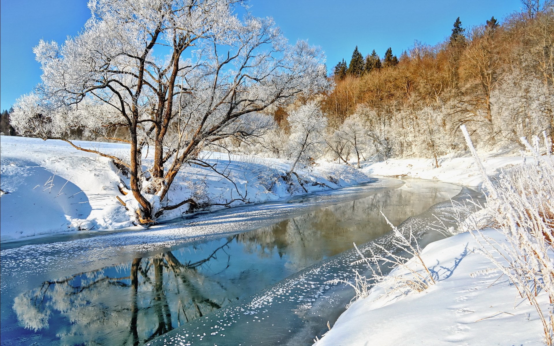 nature hd picture for pc 1920x1200, 1080P, HD Wallpaper