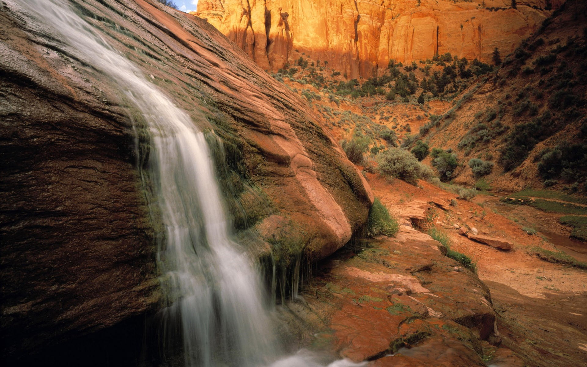 download hd images of nature for pc 1920x1200, 1080P, HD Wallpaper