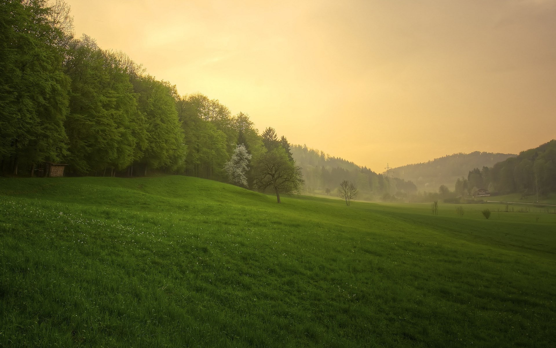 nature hd picture for pc 1920x1200, 1080P, HD Wallpaper