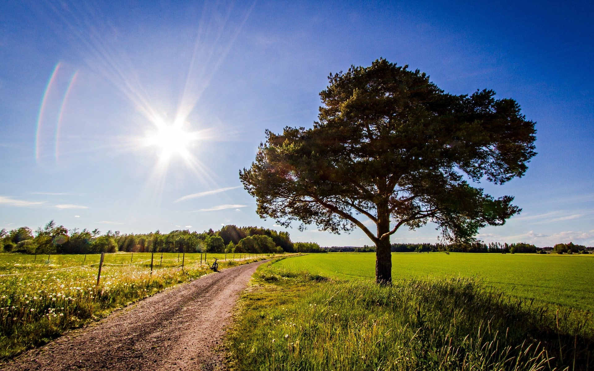 landscape, grass, field, direction, beauty in nature, environment, scenics - nature, nature, growth, nature hd picture for pc 1920x1200, sky, outdoors, HD Wallpaper