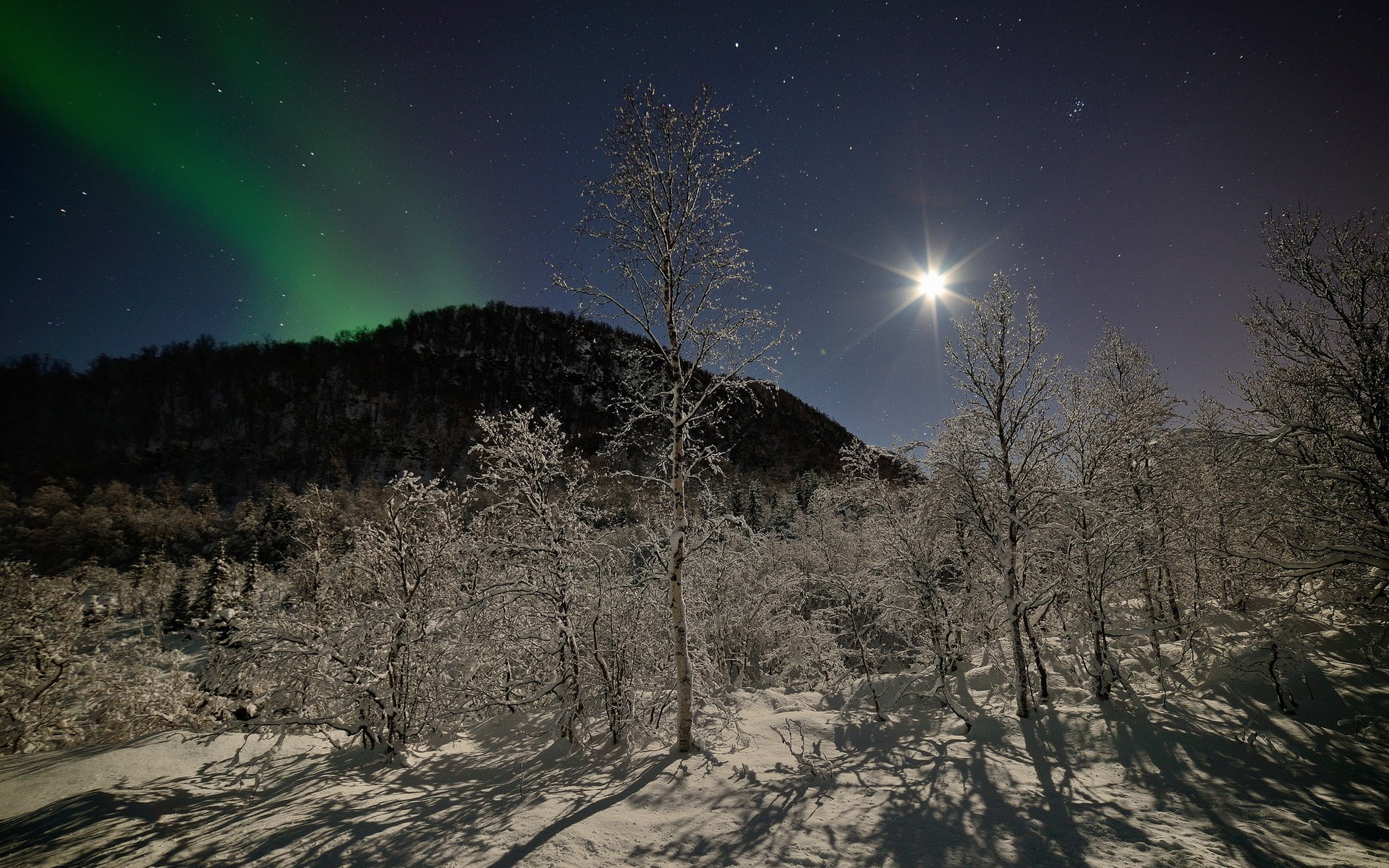 no people, tree, astronomy, moon, bright, outdoors, 1080P, beauty in nature, nature, space and astronomy, scenics - nature, majestic, cold temperature, HD Wallpaper