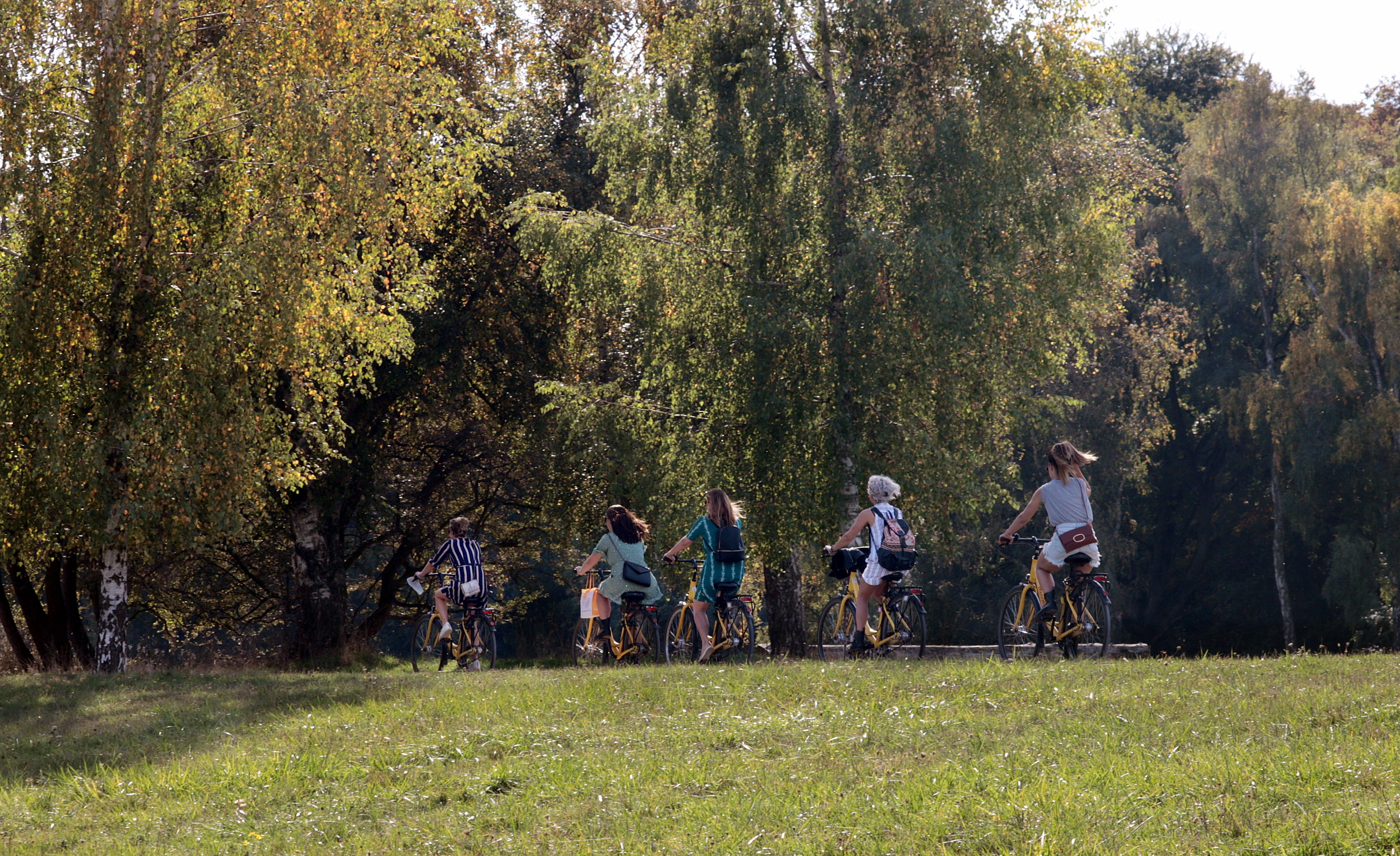 land, sport, girl tour, cycle, outdoors, leisure activity, leisure, recovery, nature, locomotion, standing, togetherness, wheels, park, grass, tree, women, HD Wallpaper
