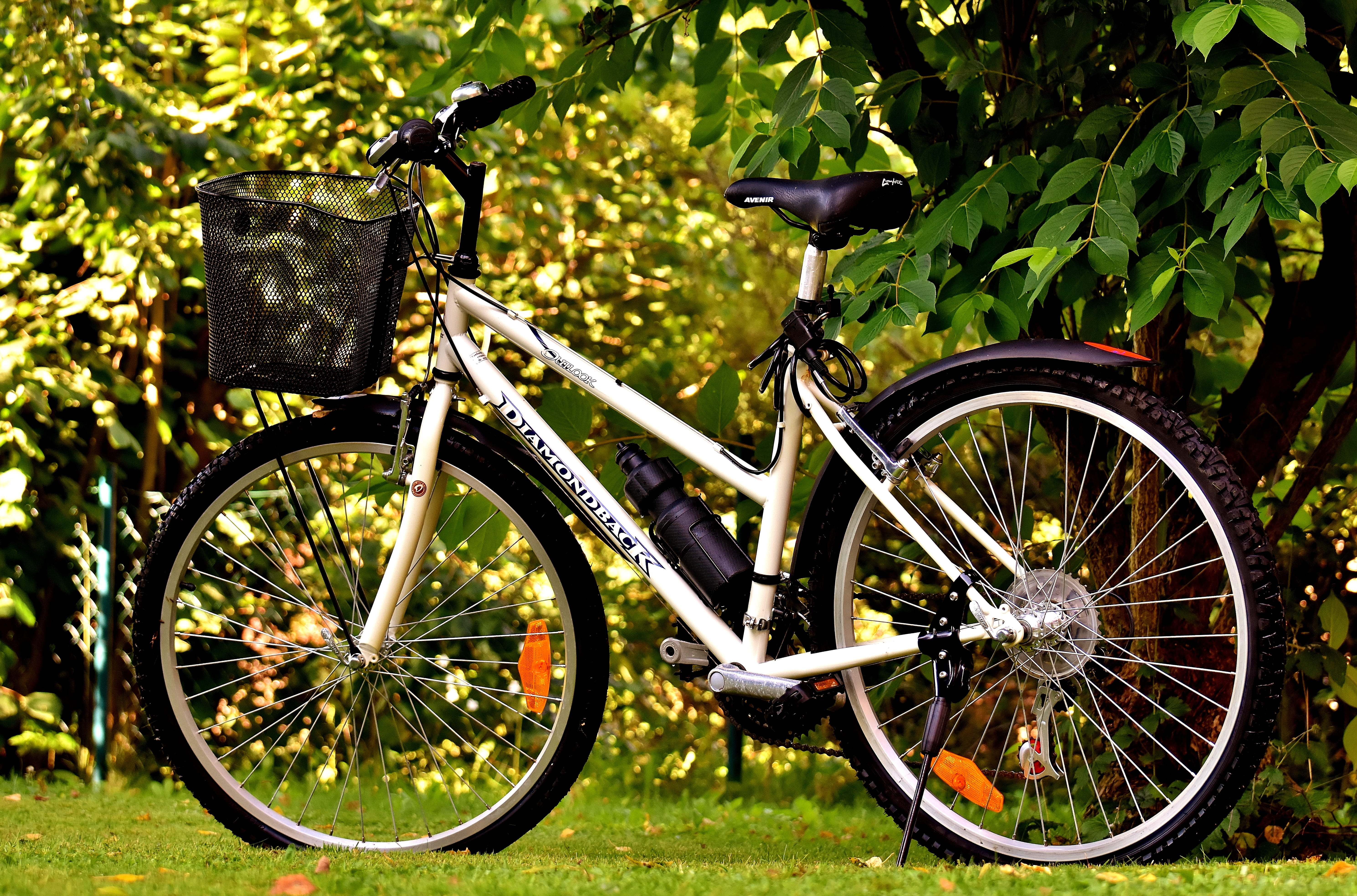 Cycle, outdoors, Wheel, transportation, more, growth, Bicycles, stationary, bicycle tour, environment, Bike, grass, sport, bike ride, nature, no people, HD Wallpaper