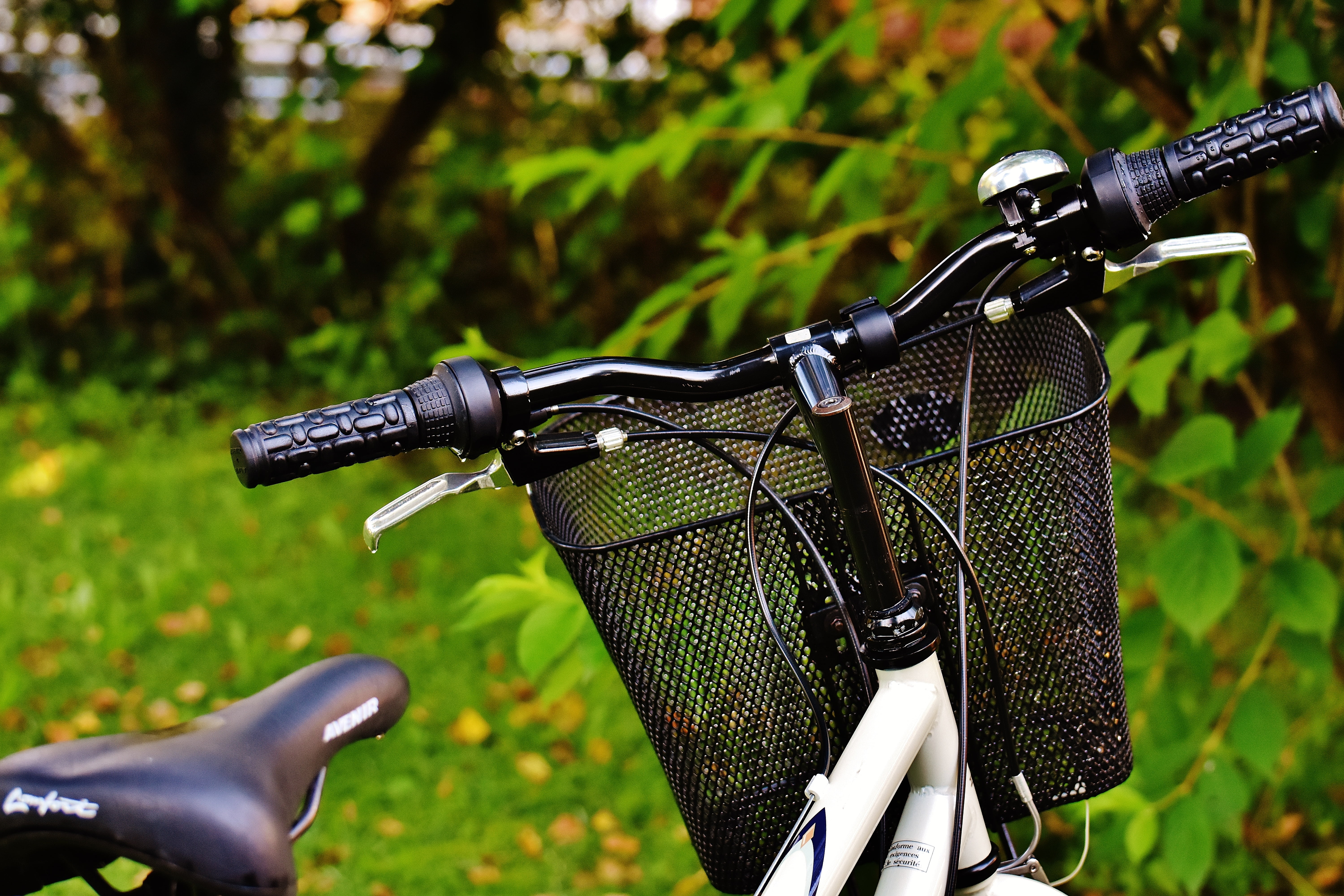 nature, close-up, handlebar, locomotion, bicycle tour, one person, healthy, plant, sport, two wheeled vehicle, wheel, more, 5K, environment, wheels, bike, HD Wallpaper