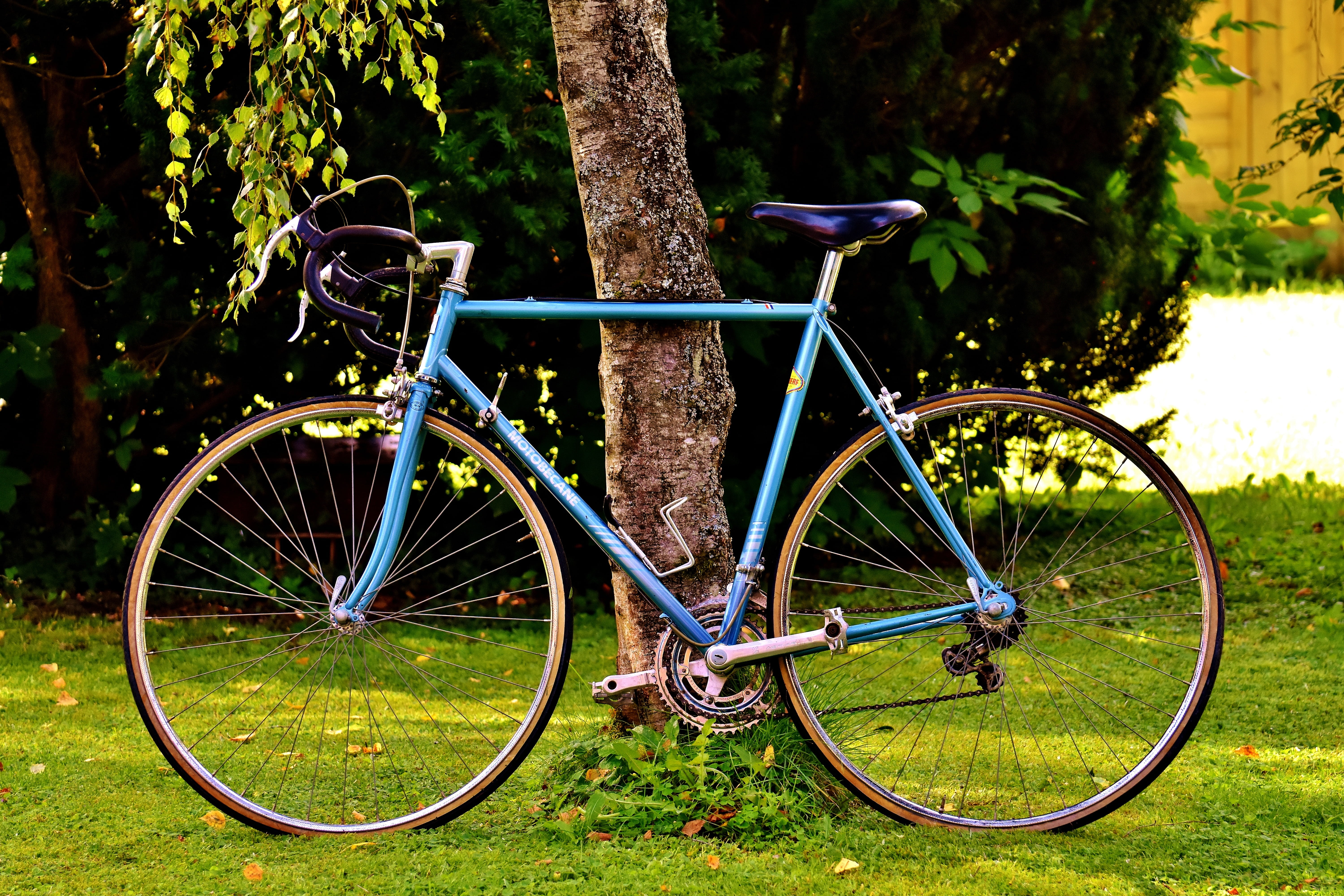 healthy, forest, bicycle, parking, grass, bike, leisure, growth, cycling, more, wheels, hard, wheel, daytime, mode of transportation, land vehicle, 5K, HD Wallpaper