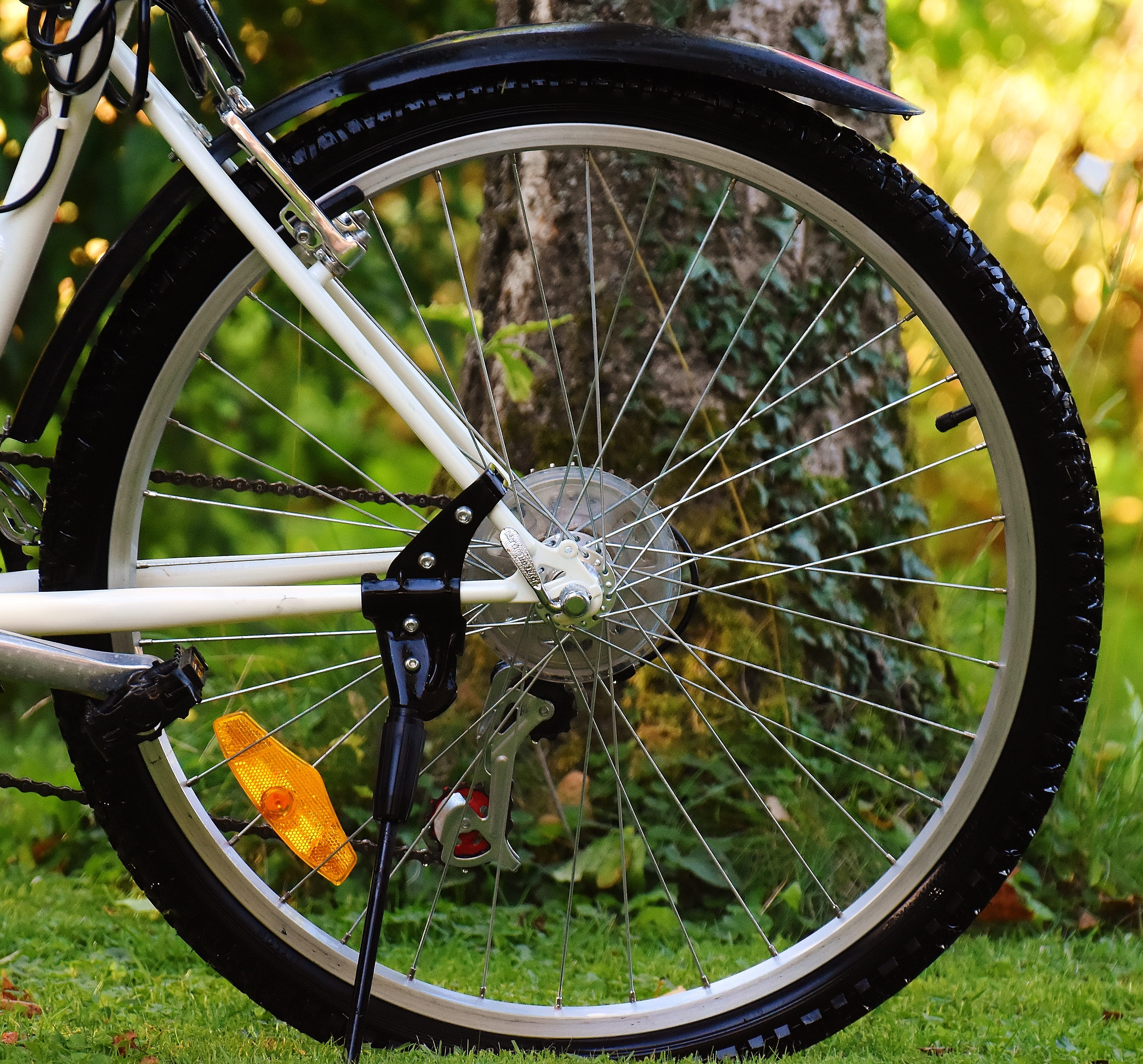 2K, outdoors, plant, field, vehicle part, nature, environment, transportation, more, leisure, green color, healthy, bicycle, sport, no people, close-up, HD Wallpaper