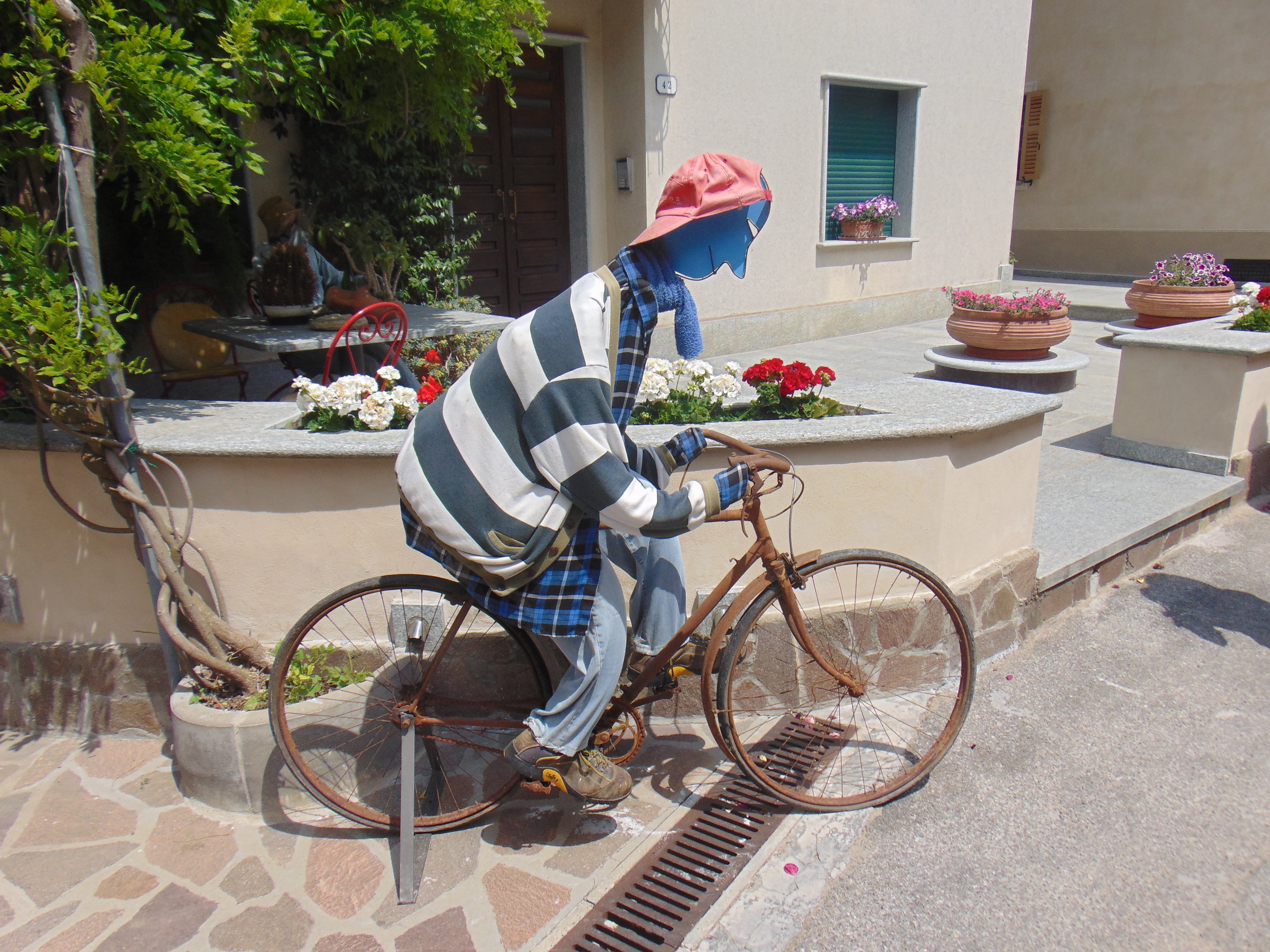 bicycle, plant, day, casual clothing, adult, land vehicle, person, one Person, mode of transportation, original, bike ride, transportation, funny, biker, HD Wallpaper