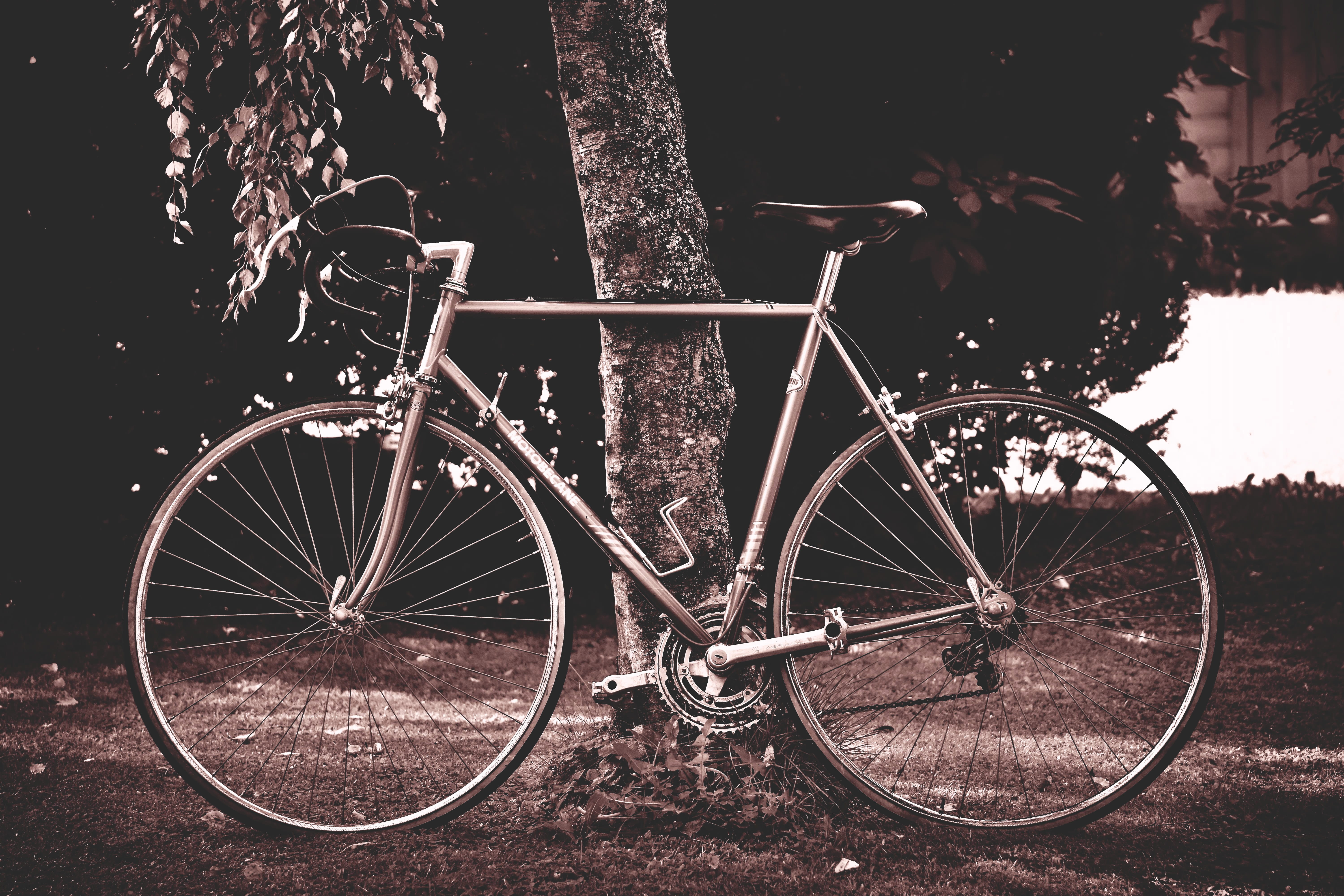 nature, outdoors, wheels, 5K, bicycle tour, leisure, metal, sport, parking, bike ride, healthy, bicycles, plant, day, field, mode of transportation, spoke, HD Wallpaper