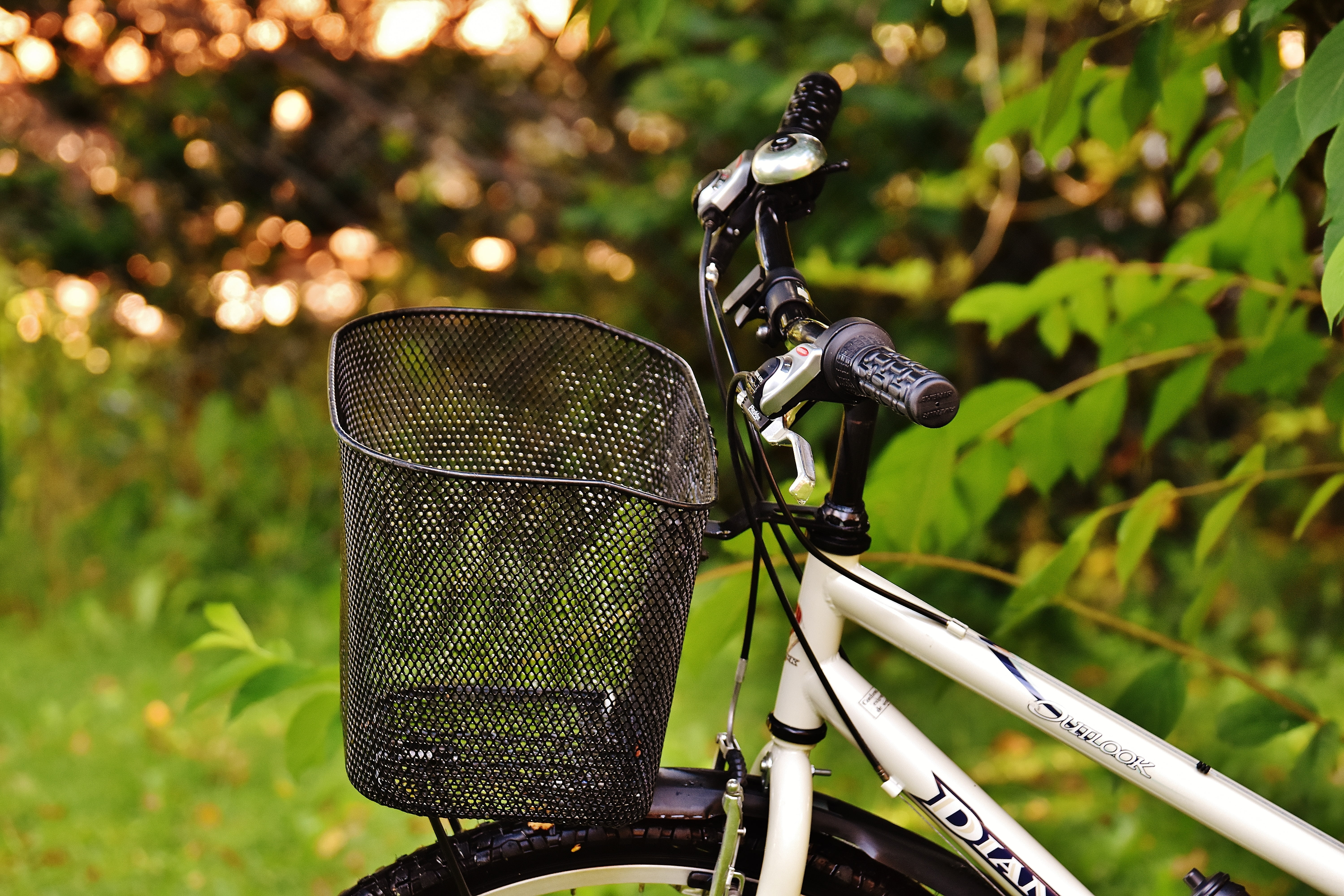 wheels, communication, bicycle, growth, focus on foreground, outdoors, wheel, land, locomotion, cycle, environment, more, bicycle basket, plant, cycling, HD Wallpaper