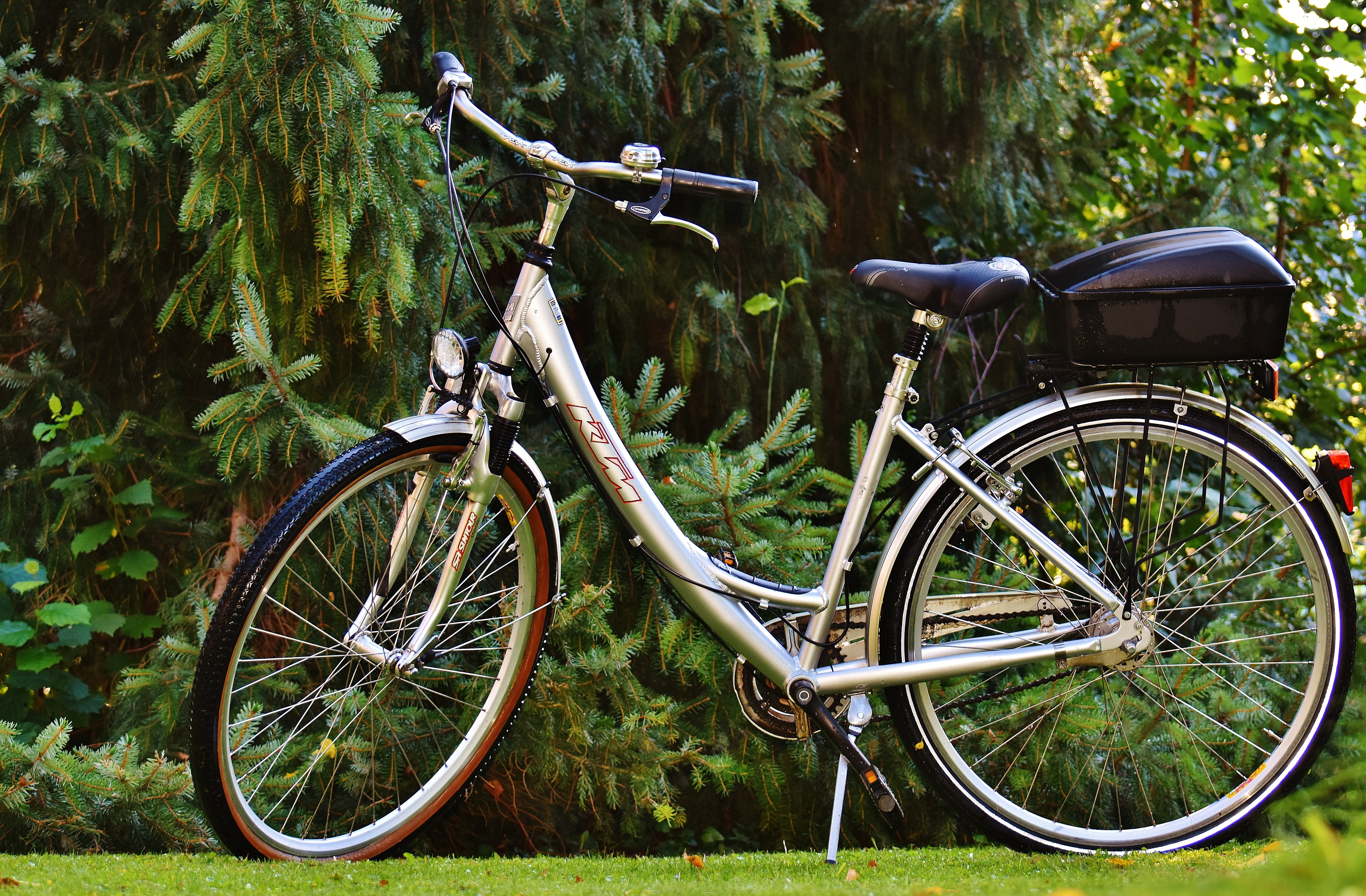 bicycle basket, day, transportation, more, gray, cycle, leisure, land vehicle, bicycle, plant, basket, growth, wheel, no people, cycling, wheels, locomotion, HD Wallpaper