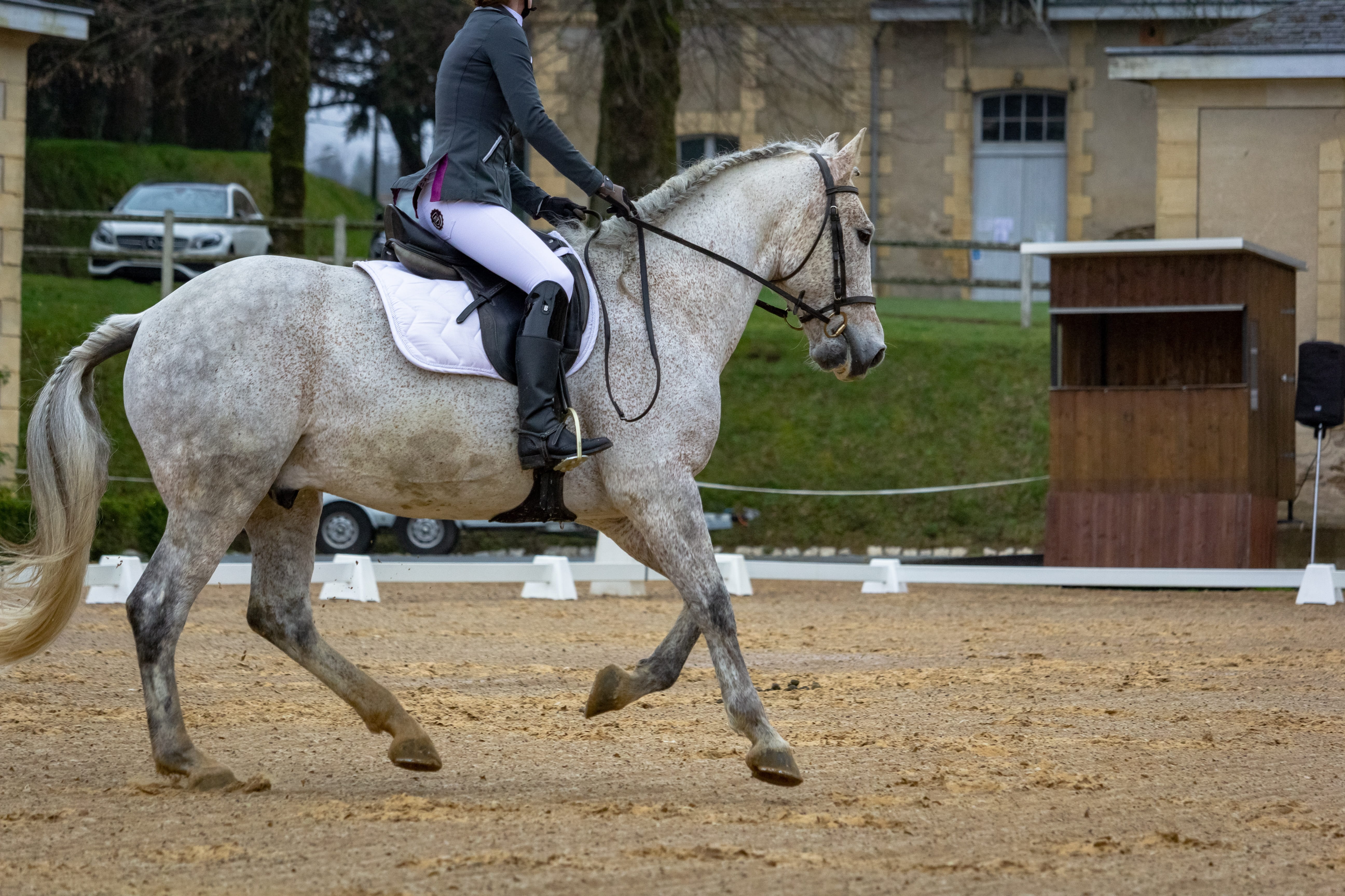 saddle, pompadour, equine, horse, 5K, pets, side view, mammal, standard, field, pure-blood, hippologie, building exterior, outdoors, horseback riding, HD Wallpaper